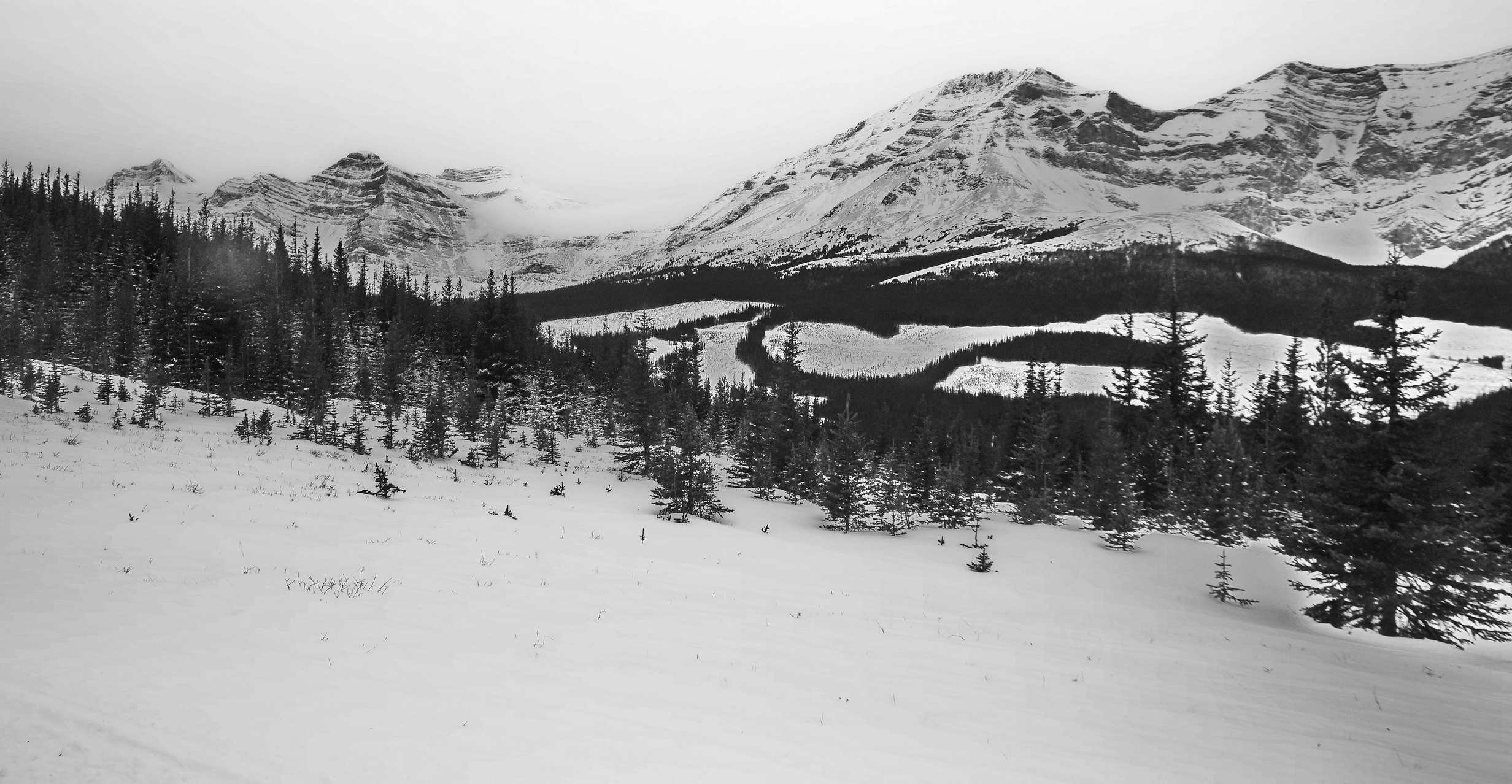 Destination Ride - Fernie/Silent Pass