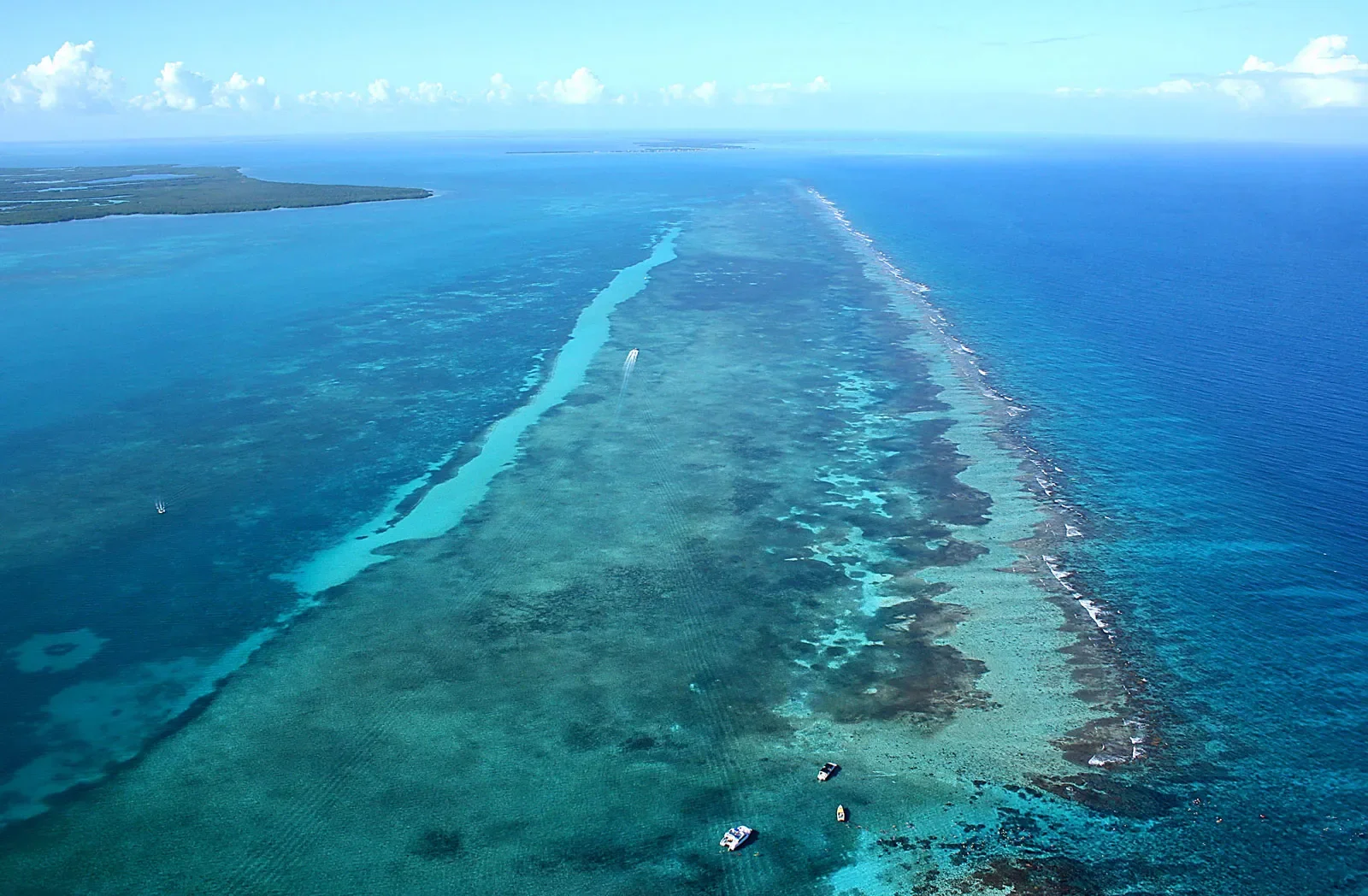 Belize-Barrier-Reef.webp