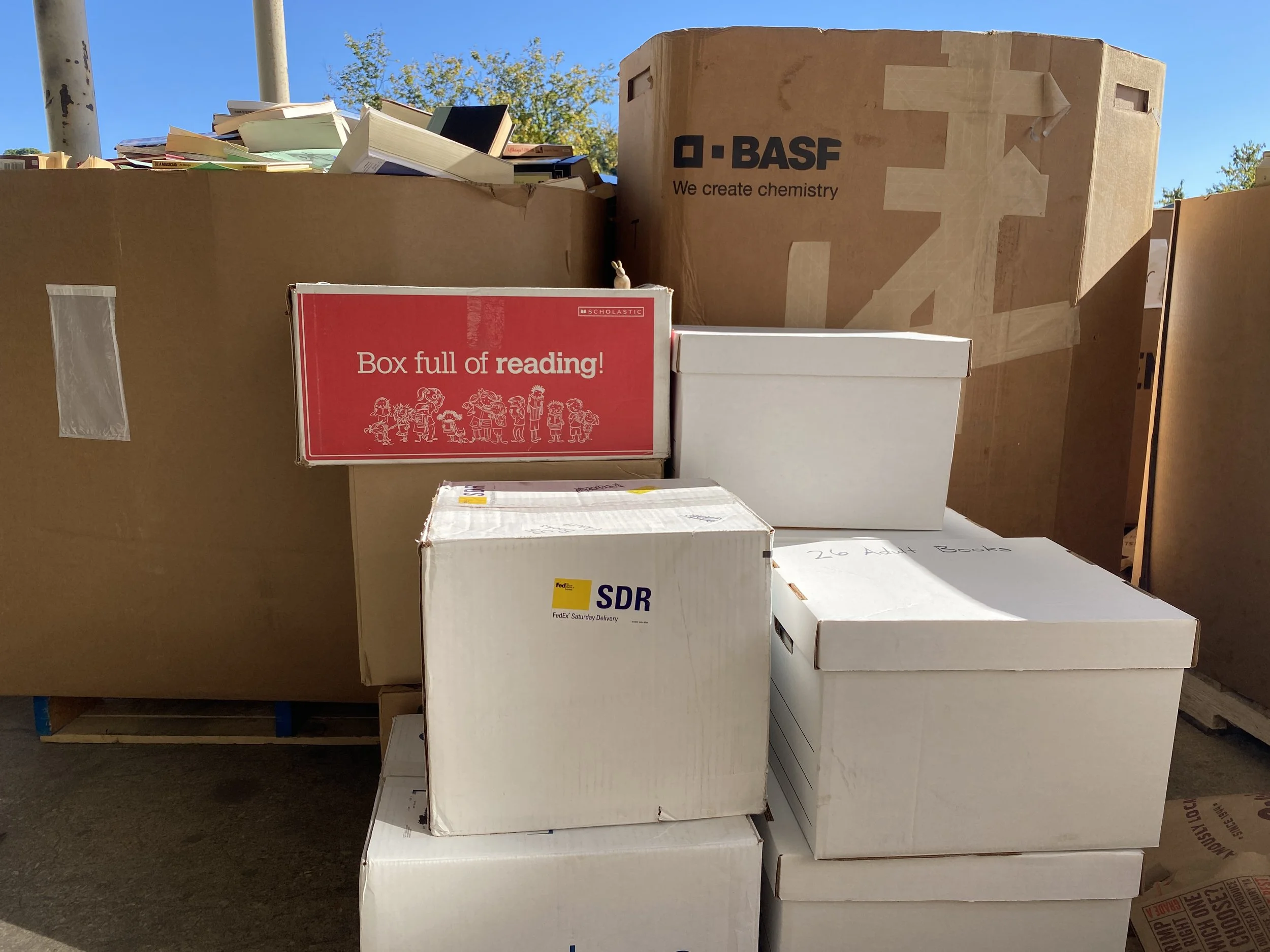 Five Sustainable Ways to Dispose of Unwanted Books — Copper Rabbit Crafts