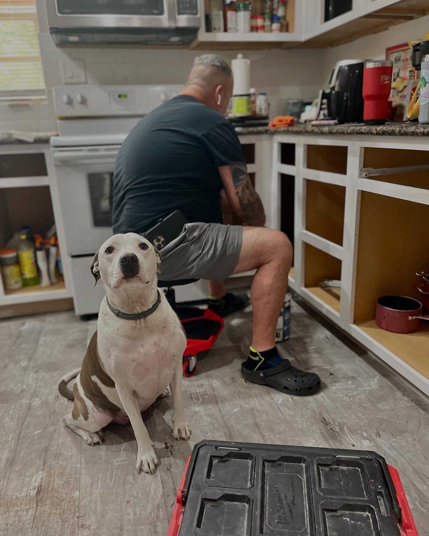 Every project needs a supervisor πΆπ¨ While we transform these cabinets, our furry friend keeps an eye on quality control!
Looking to start a project? Contact us today!
π² : (941)216-5238
π§ : info@kelleherrenovations.com
#CabinetMakeover #DogOnDu