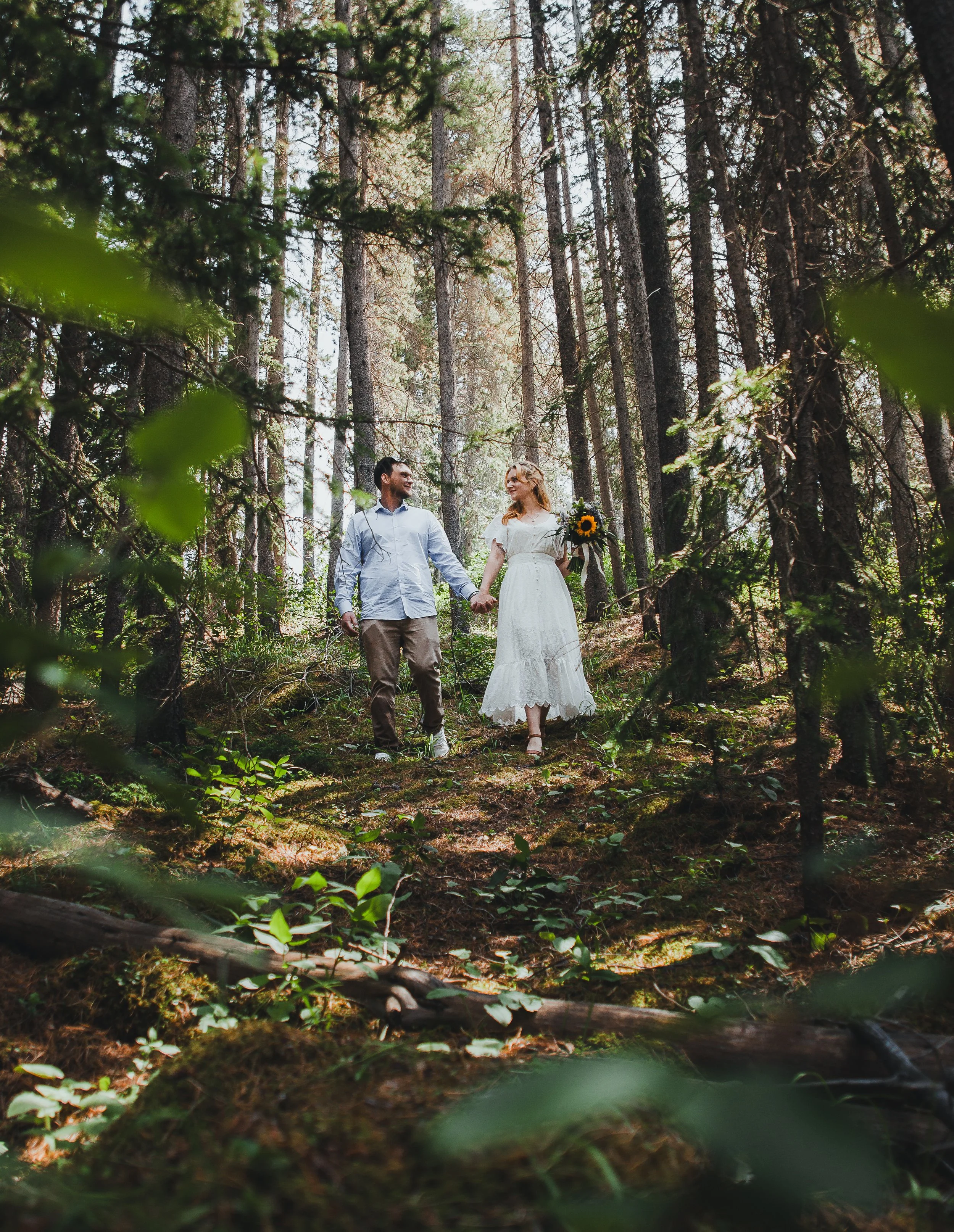 forestscene.jpg
