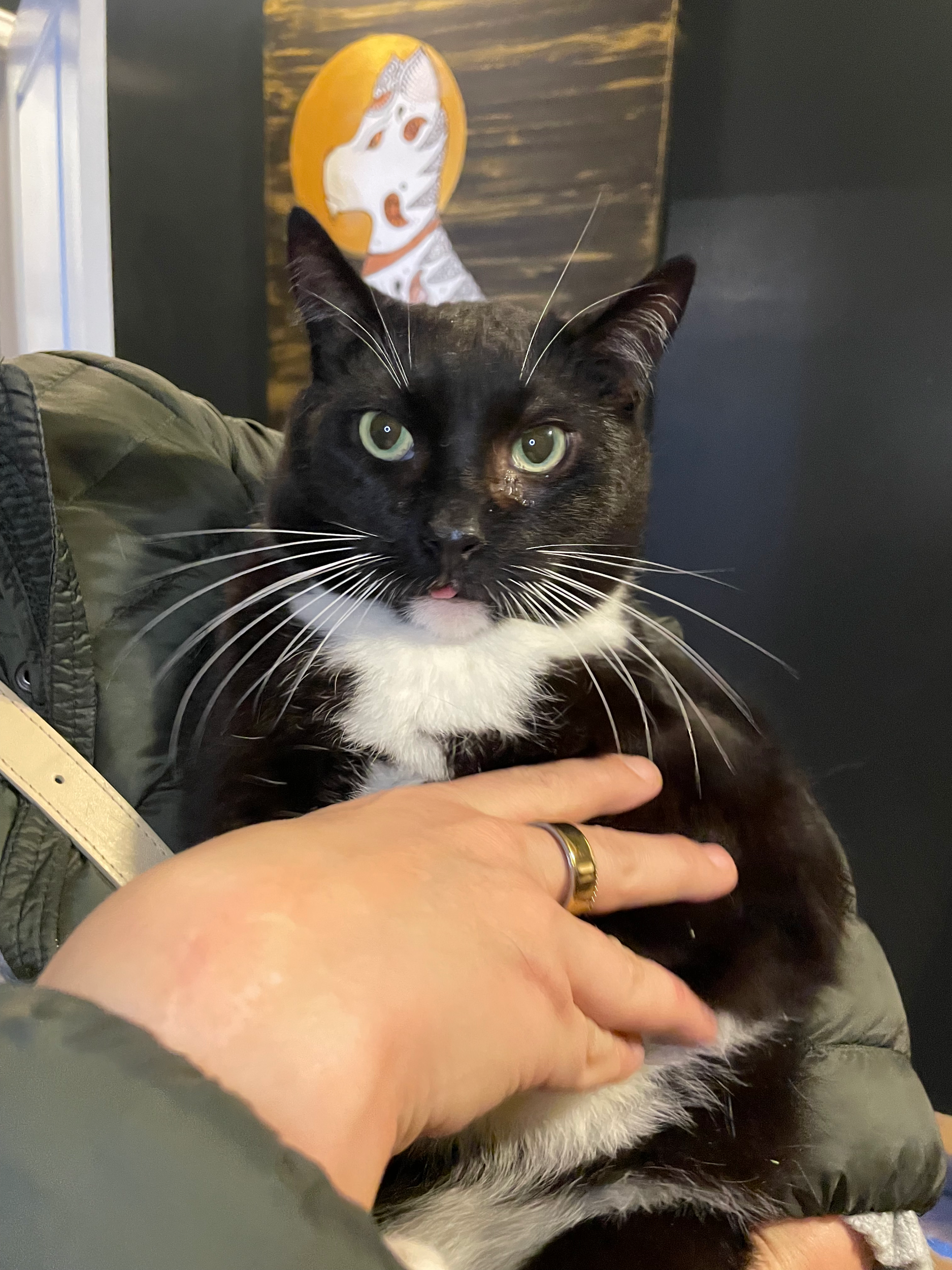 Lennon - (application pending)