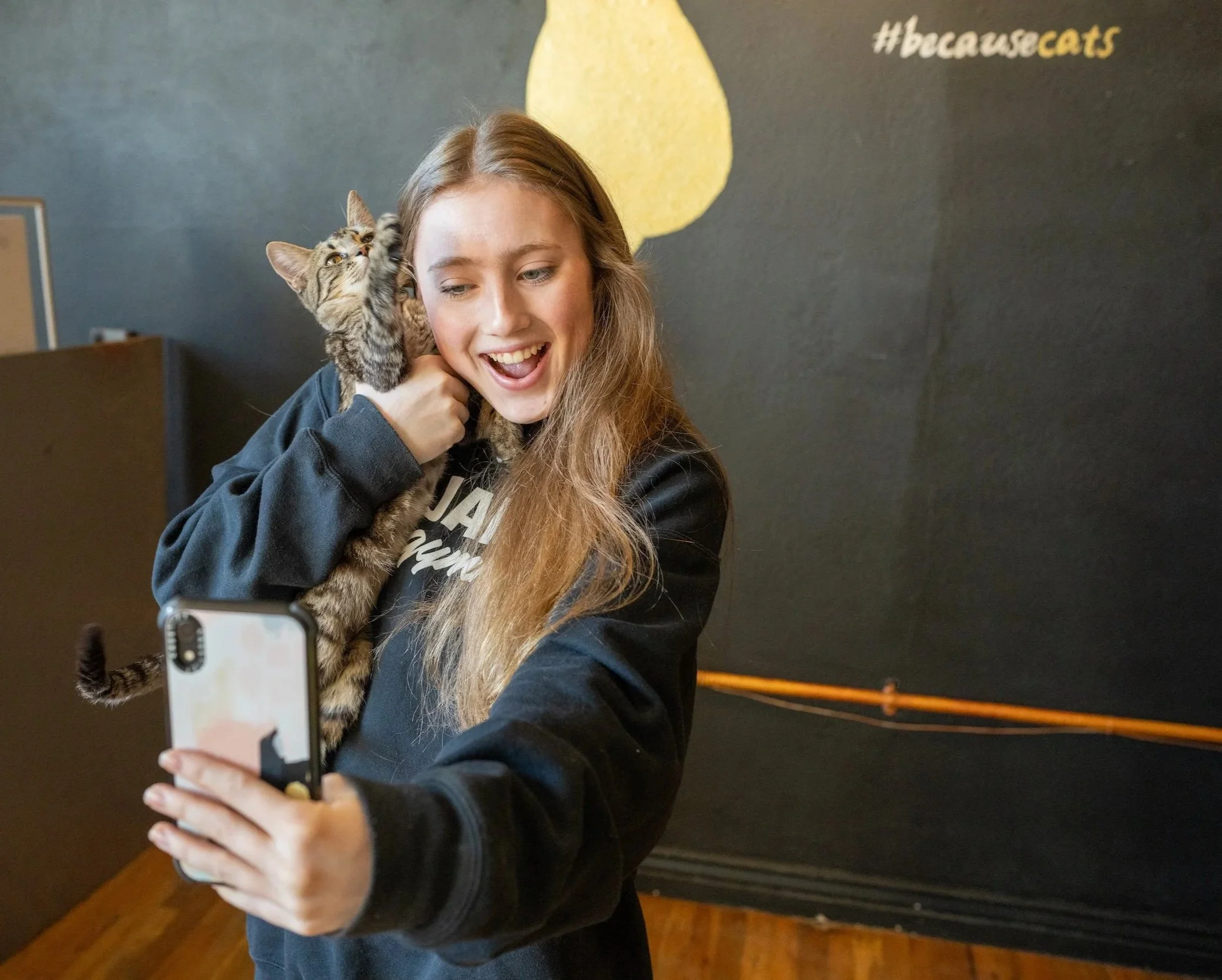 DenverCatCompany-299.jpg