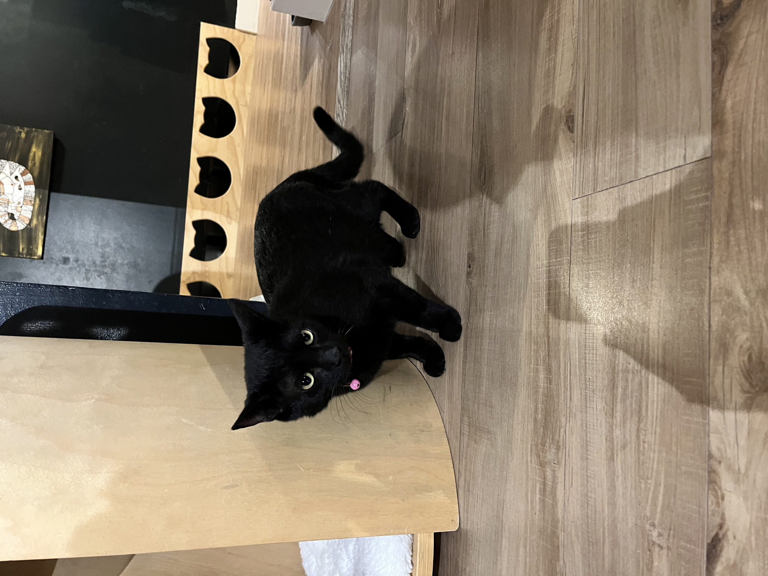 Mustard - (application pending)