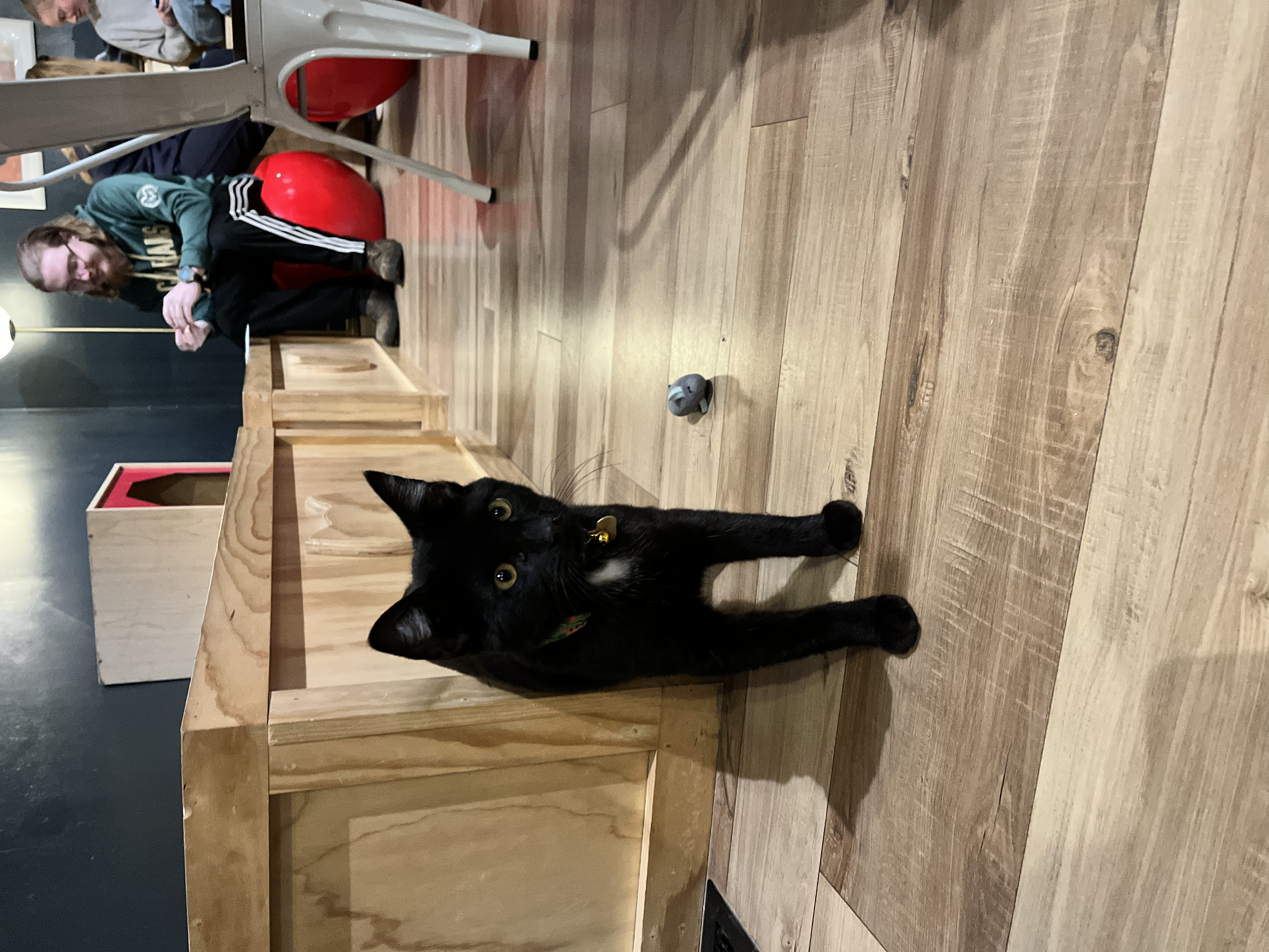 Mayo - (application pending) 