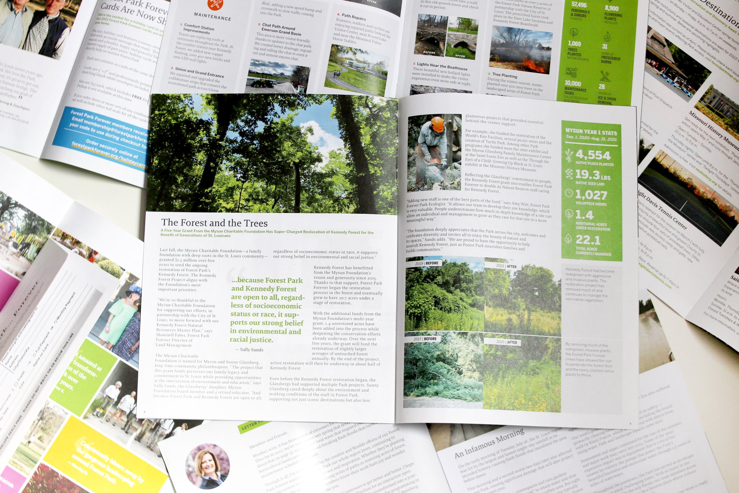 AMR_FPF-Newsletters.jpg