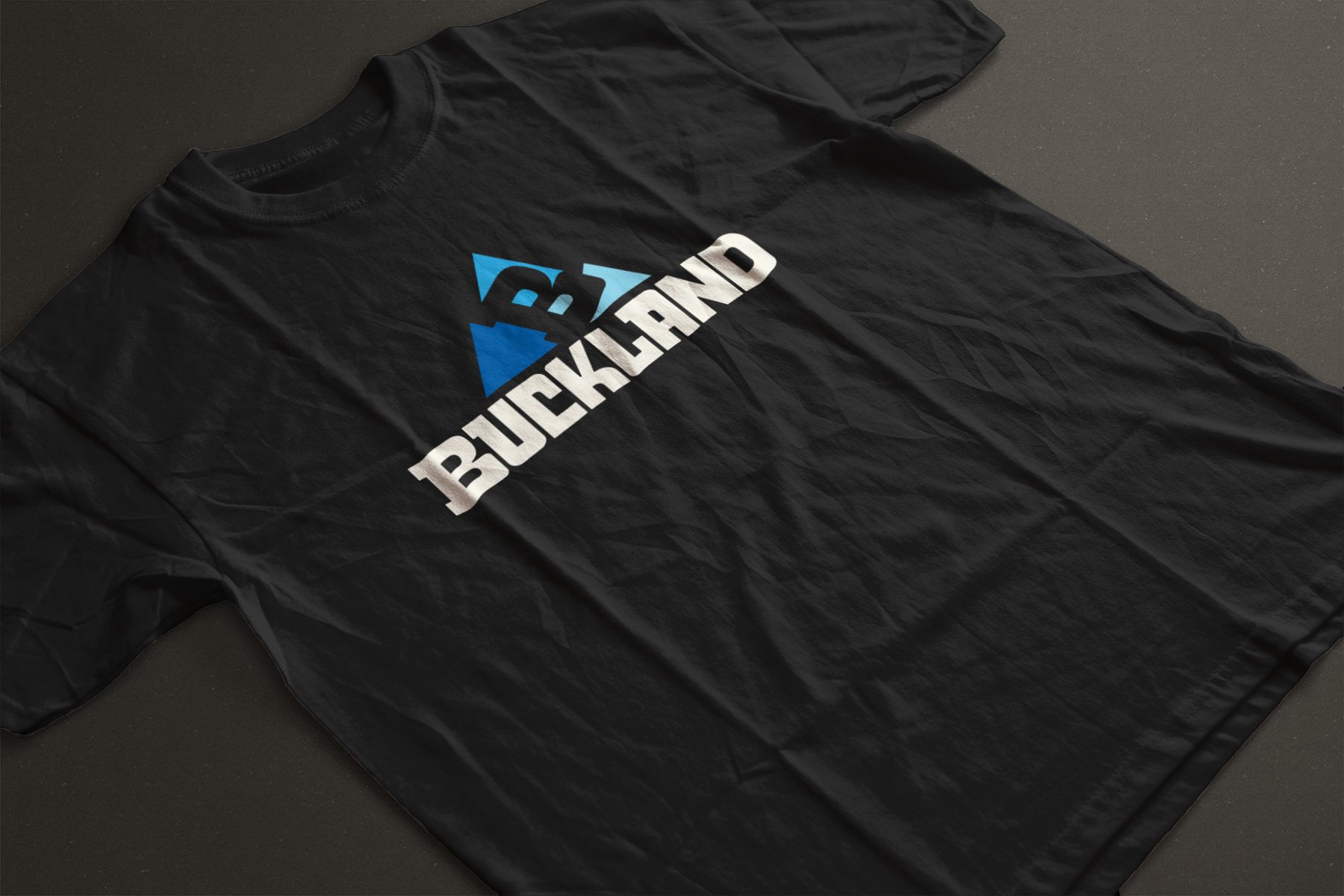 Buckland_Landscape Logo_Black_perspective.jpg