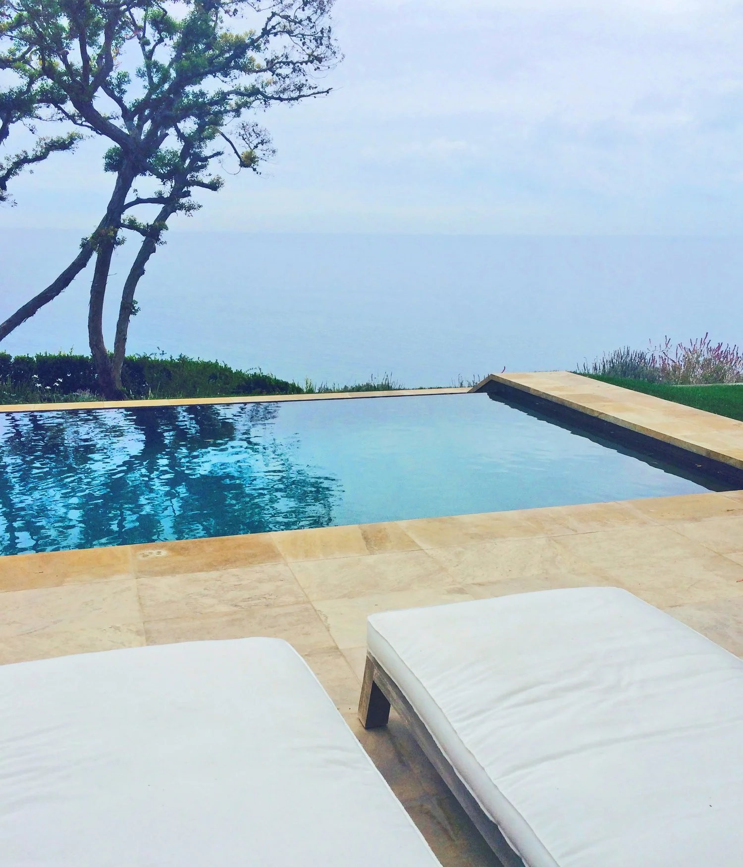 image-asset-14.jpeg