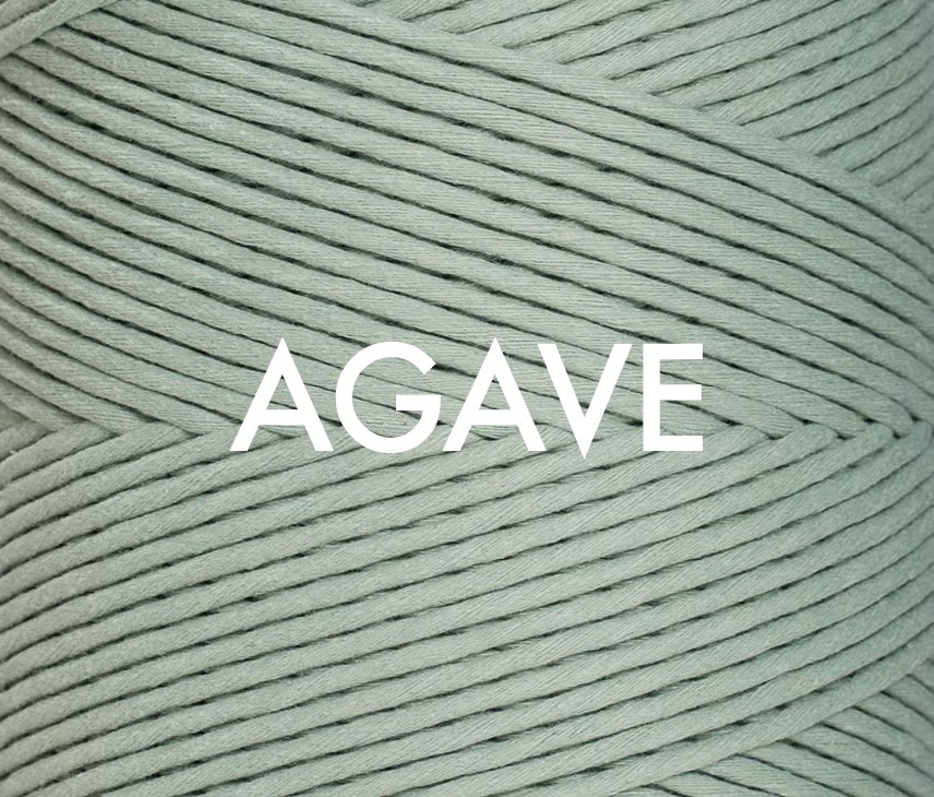 agave.jpeg