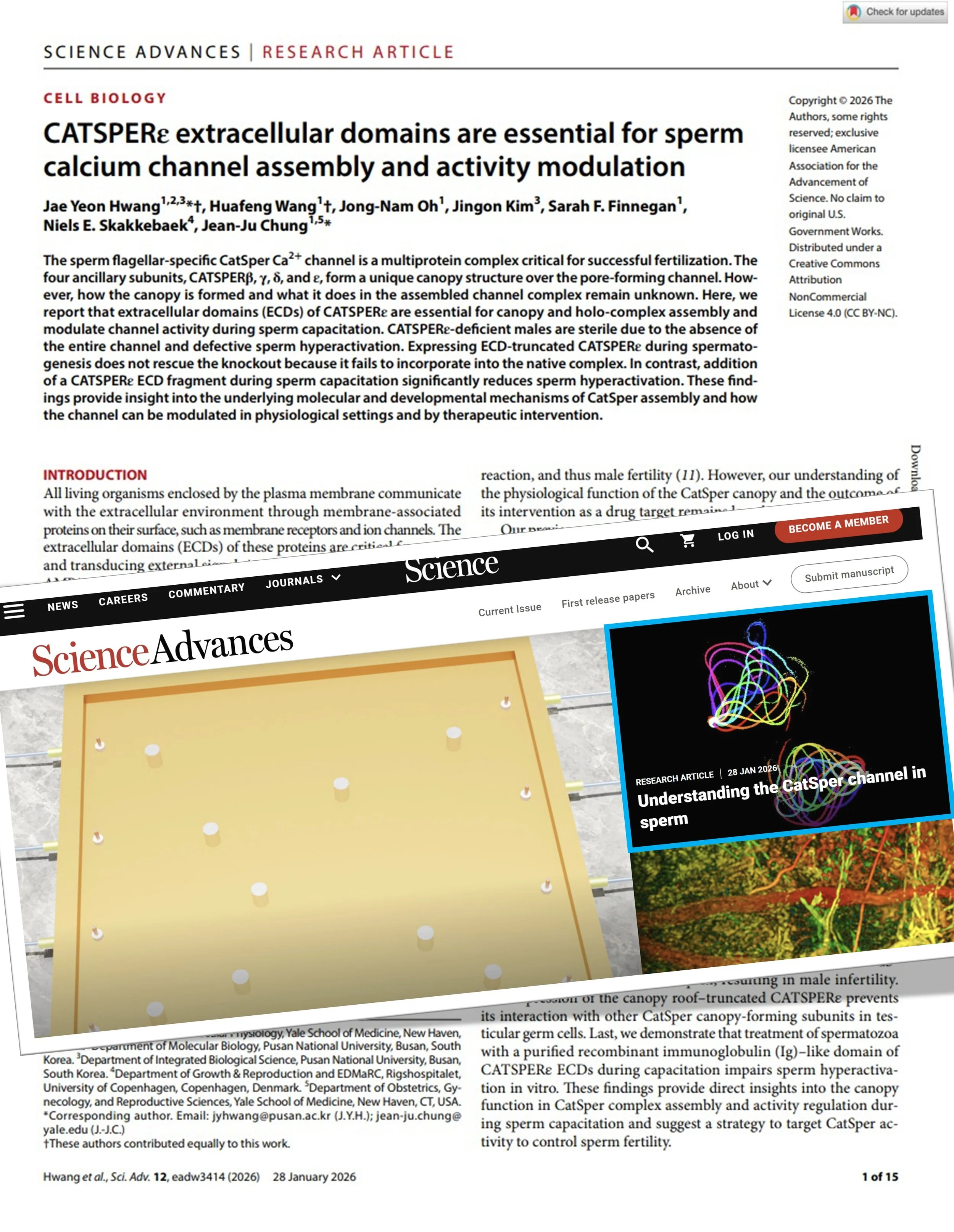[2026.01.29] New study is now published at Science Advances!
