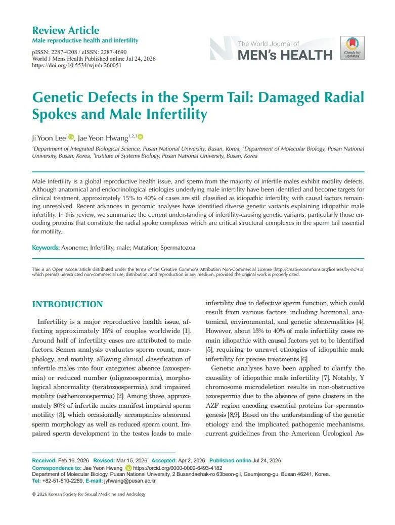 Lee and Hwang, Genetic Defects in the Sperm Tail: Damaged Radial Spokes and Male Infertility, 2026, WJMH