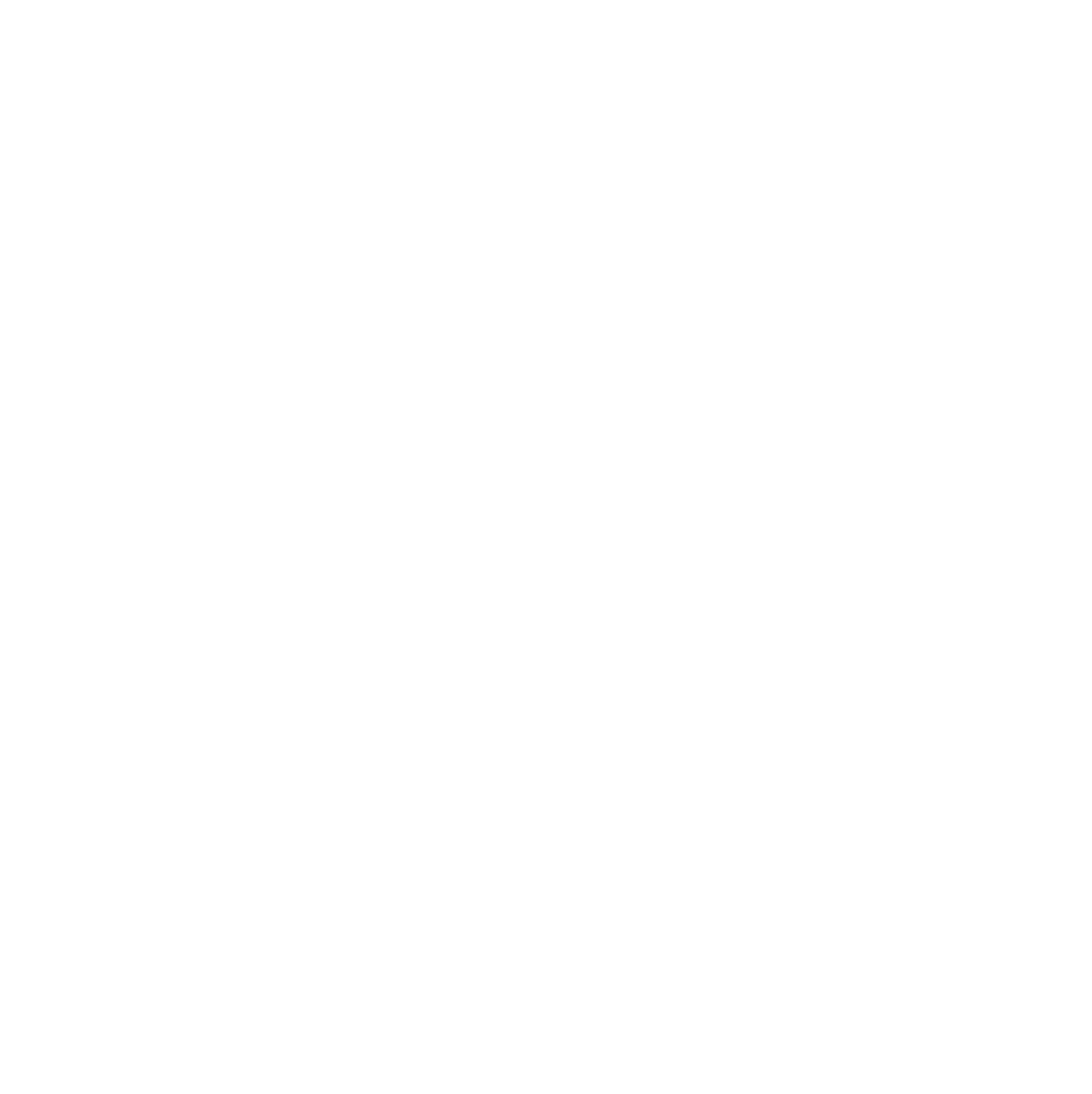 ZoramenaLogo_White-Text copy.png
