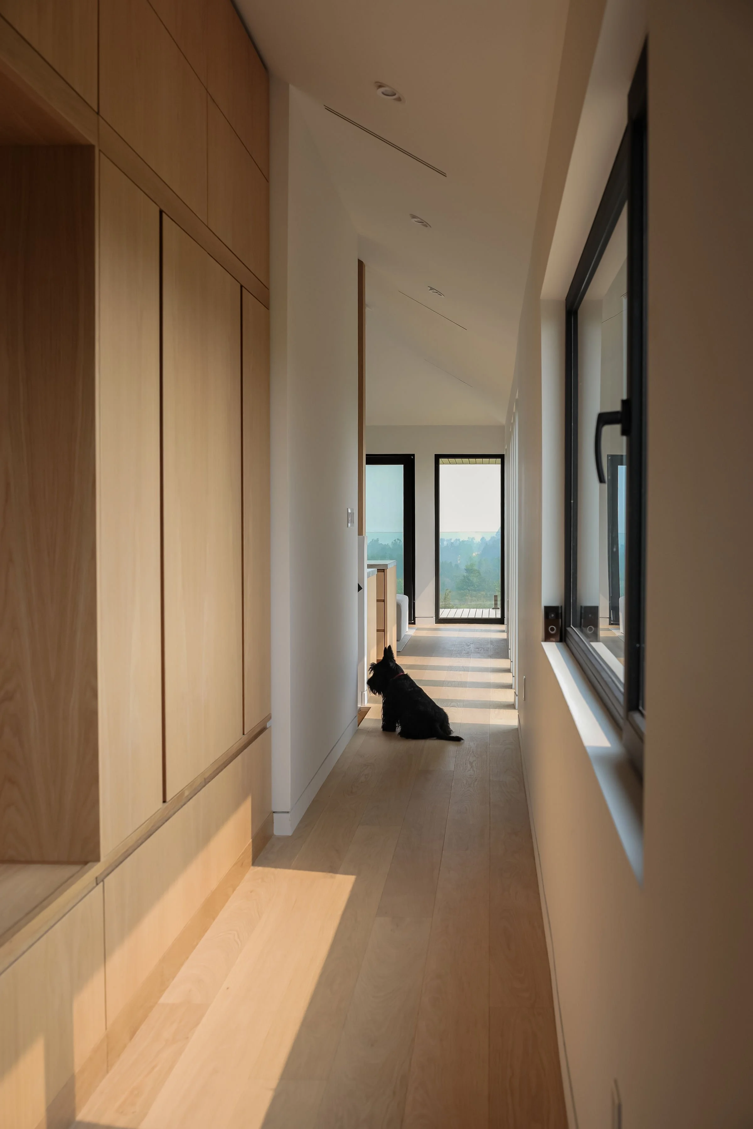  Storage, Hallway, Entry, Built Ins 
