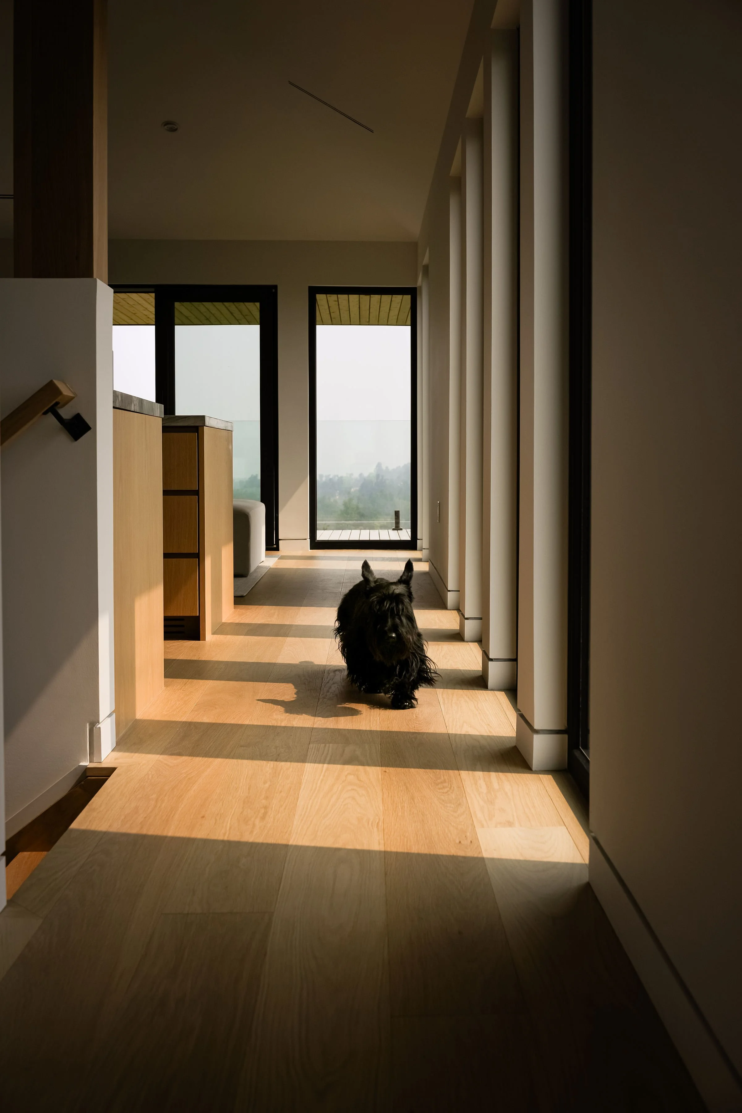  Kitchen, Hallway, Entry 