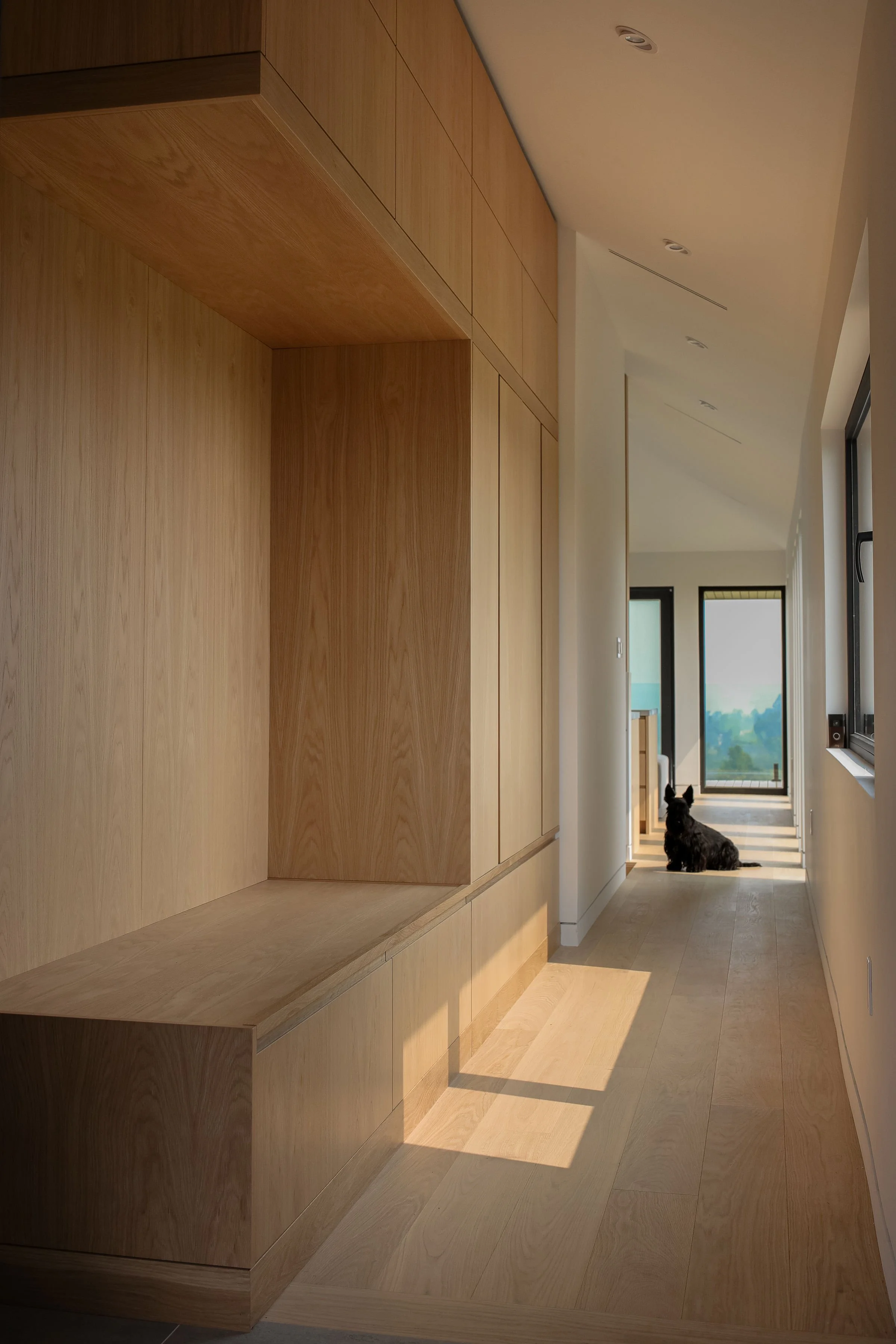  Storage, Hallway, Entry, Built Ins 