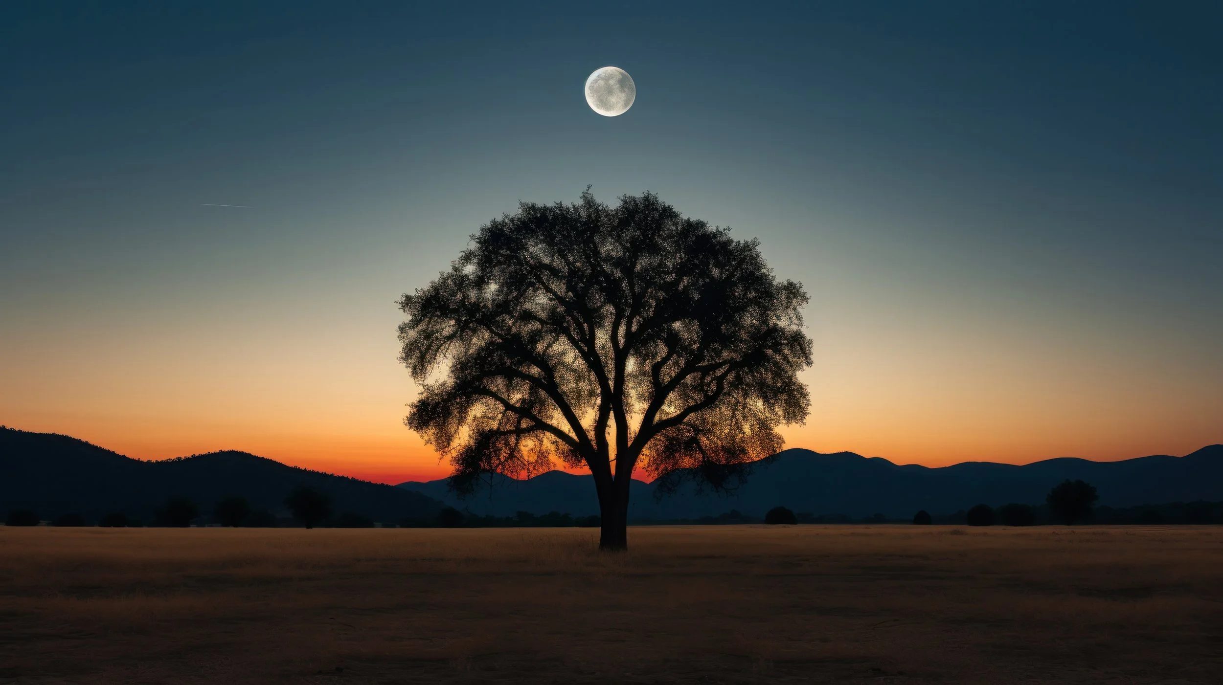Moon dusk moon.jpg
