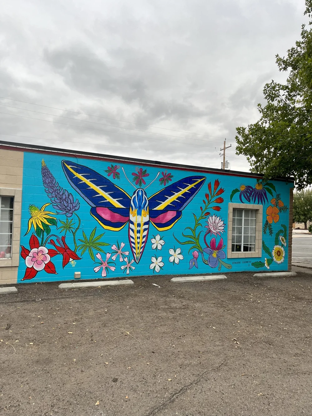 @laurenhufftart @cyansamone