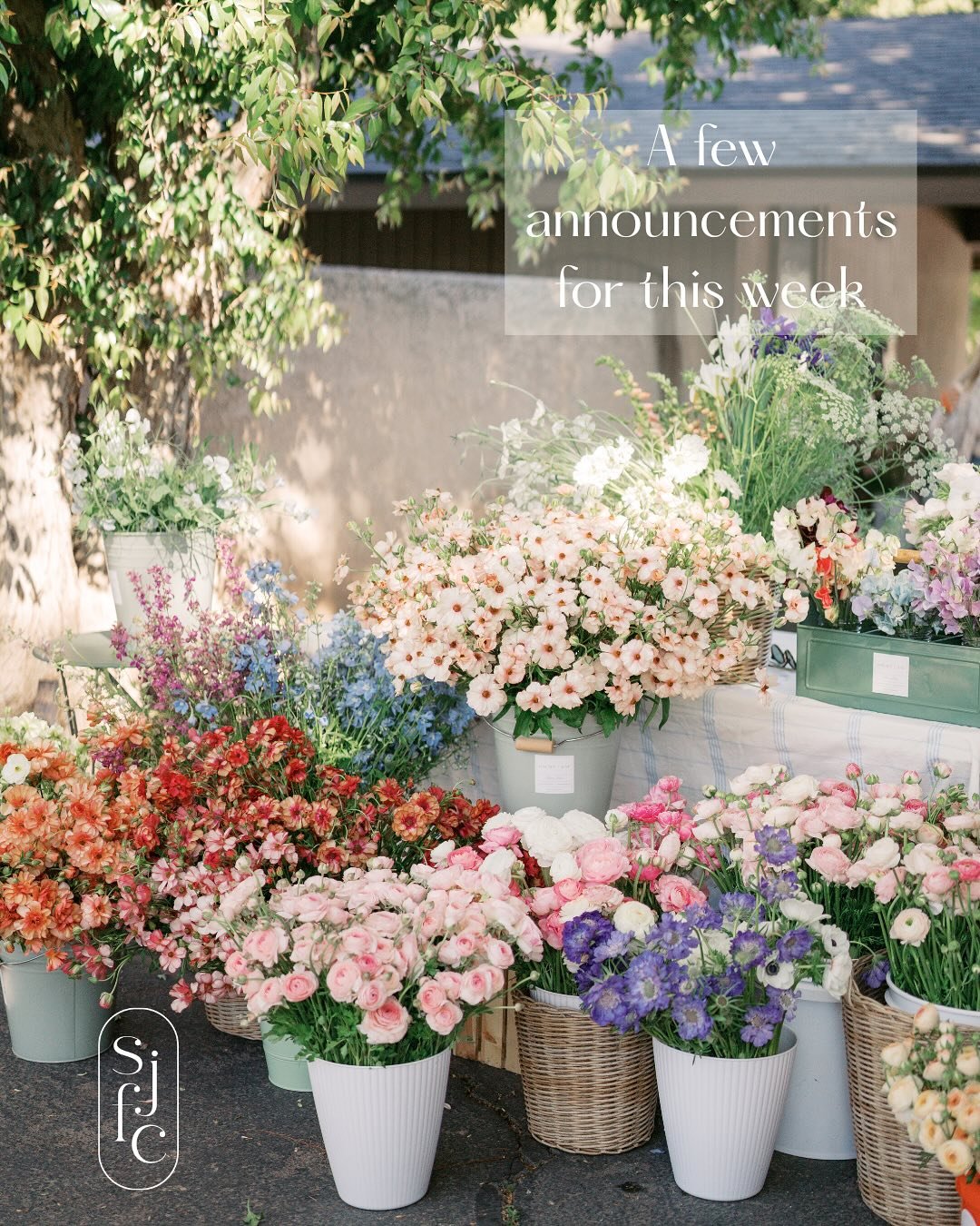 Swipe through for a few announcements this week! No Wednesday Flower Club this week as we gear up for MOTHER&rsquo;S DAY 🤍
📷: @stephanierosenthalphotography