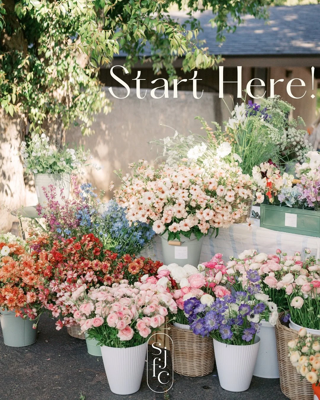 Hello flower lovers 🌷 With Fall approaching we figured it was time for a reintroduction + all the details on how you can get our blooms ✨ Head to our story highlights for more in depth details on who we are + who can order from us. Got questions? Se