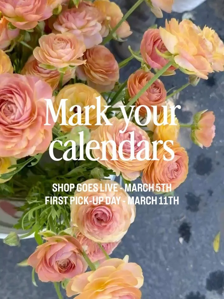 The rain came, the sun is (almost) shining, and our flowers are officially in bloom 🌸✨ That can only mean one thing&hellip; our 2026 season is just around the corner!

Mark your calendars 🗓 Our online Rooted Farmers shop goes live Thursday, March 5