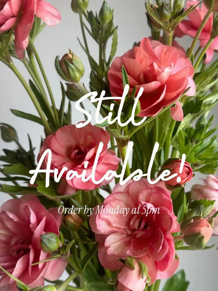 You guys were quick to sell us out on Thursday last week, but new inventory has been added and so many special blooms are still available! Place your order on our @rooted_farmers shop page by 5pm Monday night for pick up this Wednesday! Link in bio t