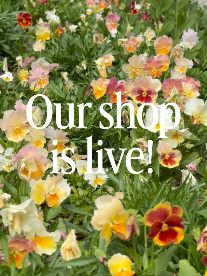 Ranunculus season may have ended earlier than we wanted, but all your favorite spring blooms are blooming in abundance including a few early arrivals! See what&rsquo;s available for next week! 👀👀 Link in our bio to shop now through Monday at 5pm fo