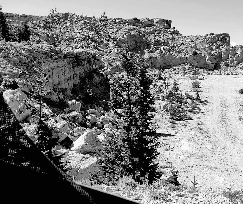 “Esfahan Advent, Out of Esfahan”