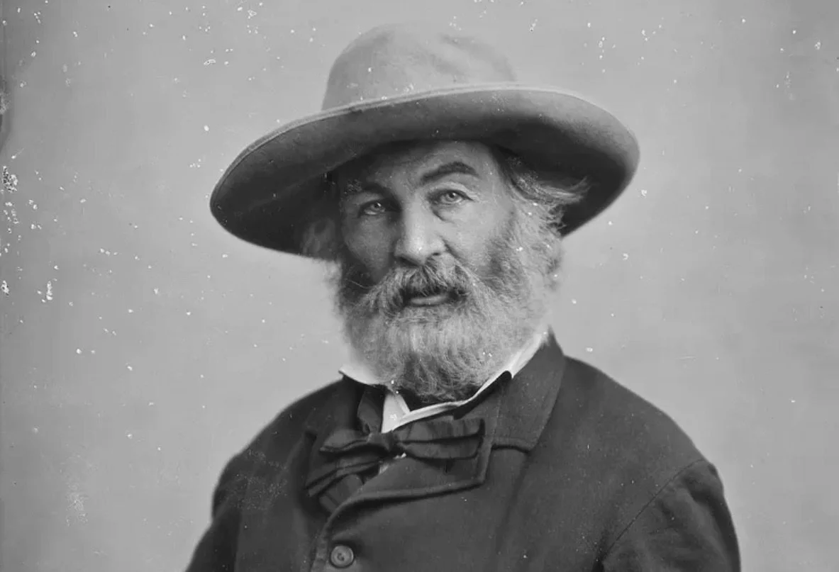 “Decline of The West”