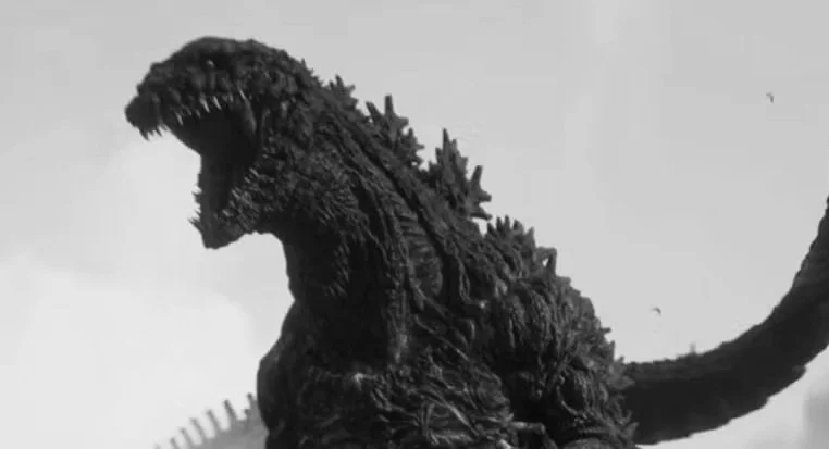 “(YA) Tragedy Section”