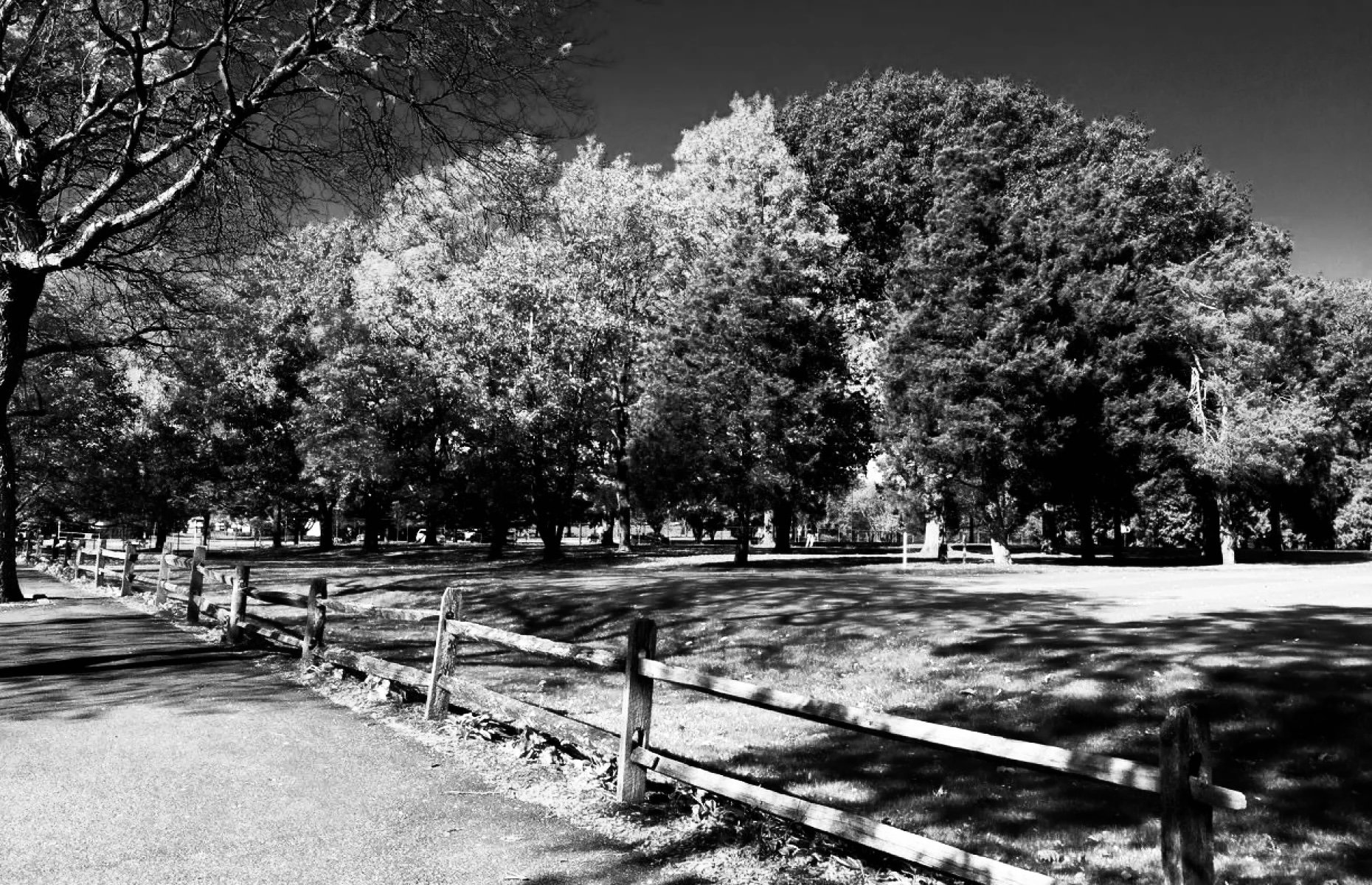 “Some Weird Guy in the Park”