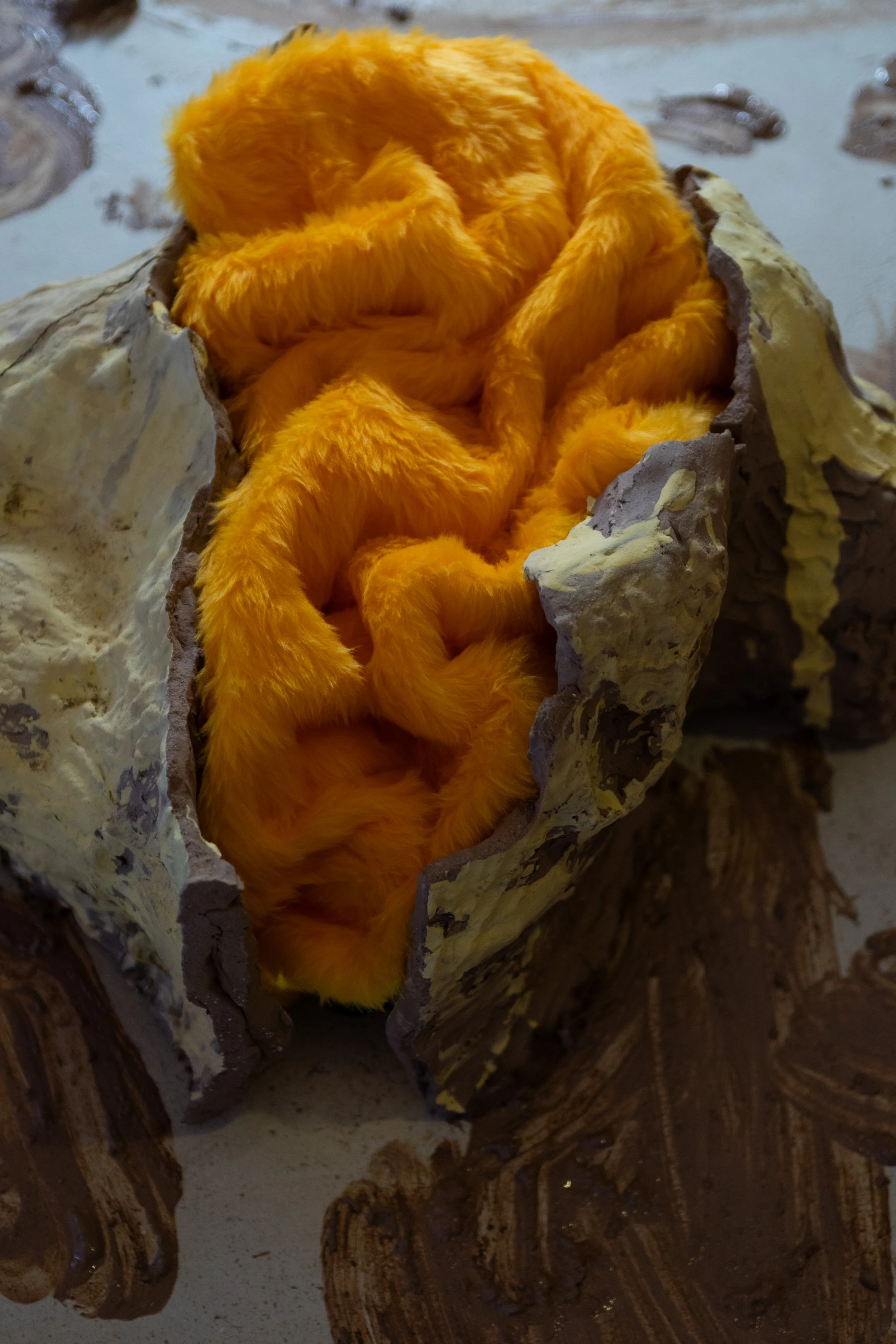Odessa_GoldenYellow_InAri-18.jpg