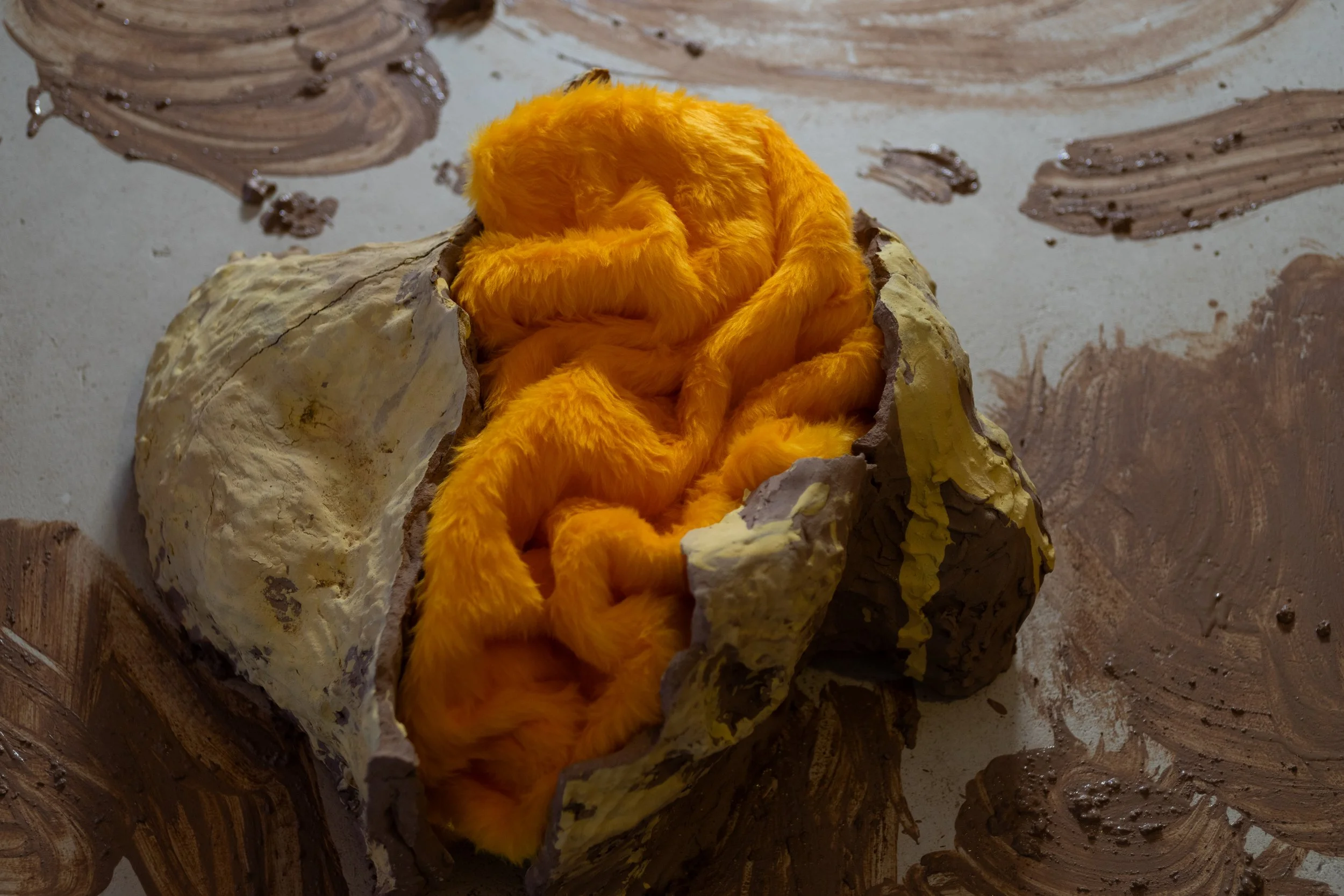 Odessa_GoldenYellow_InAri-20.jpg