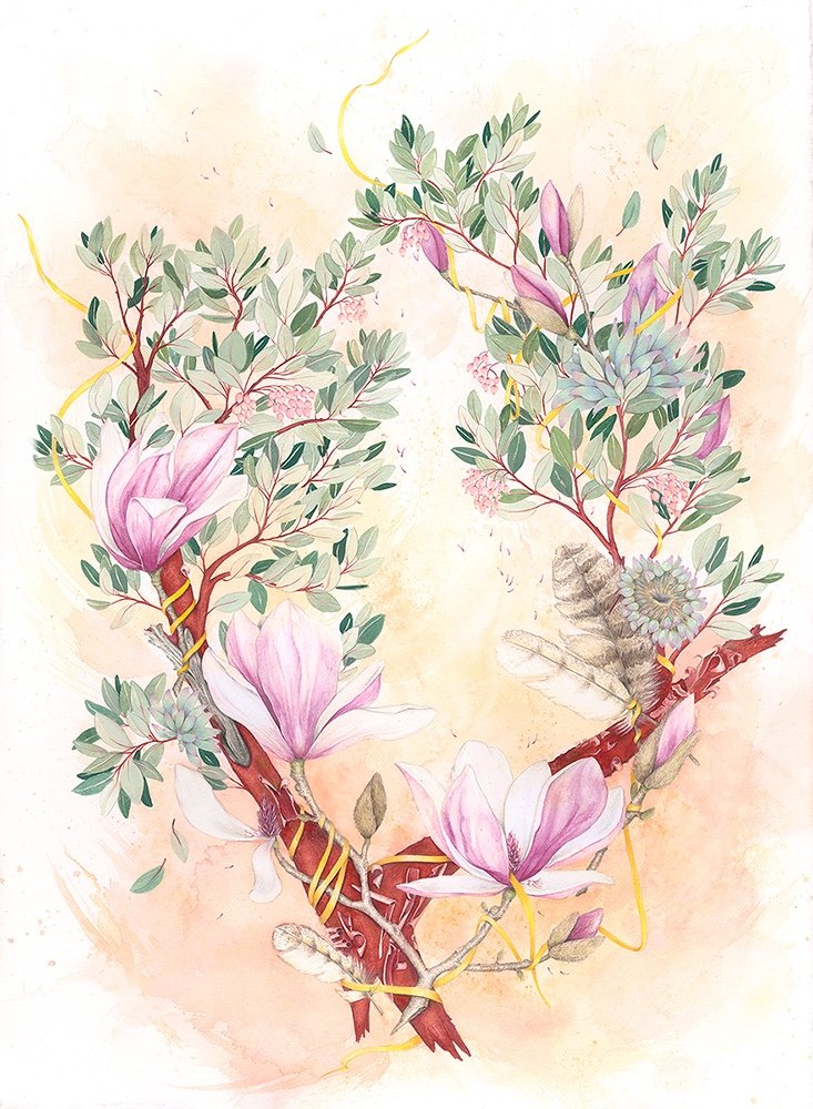 Magnolia-Manzanita.jpg
