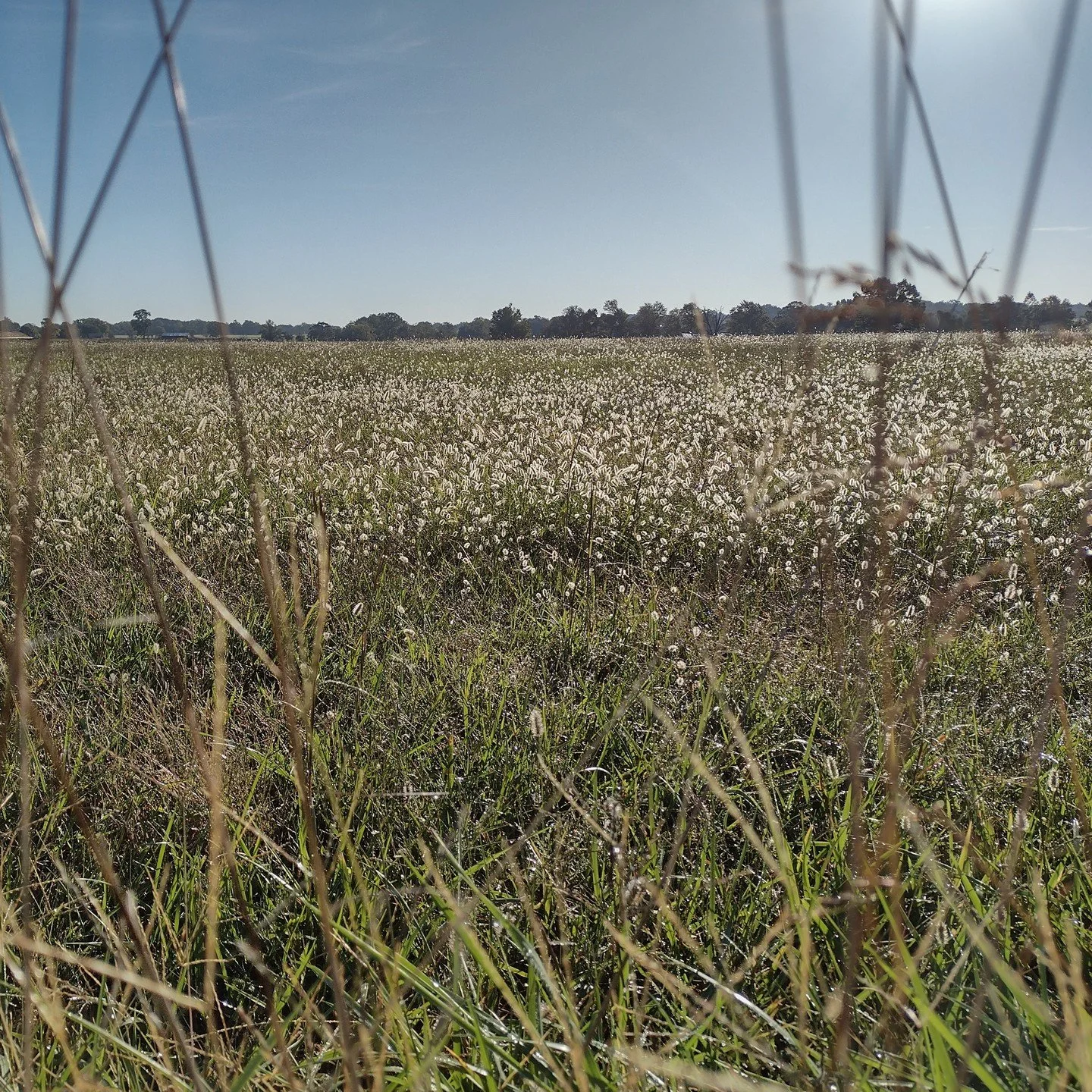 I haven't posted in a while because we were moving states and it was way more work than I anticipated. This is one of my many new favorite views near my home. I feel like I can finally breath.

We are still unpacking, but I wanted to announce that de