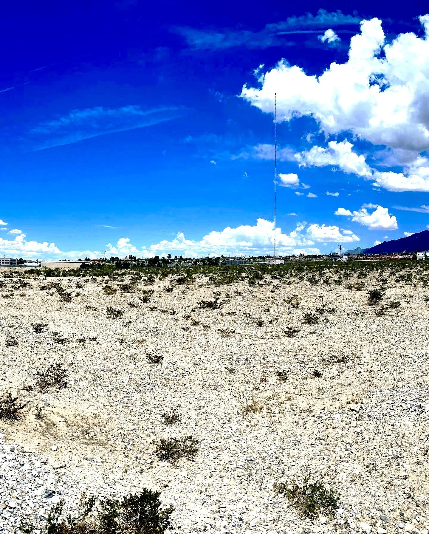 Arid landscape with scattered shrubs, cloudy sky