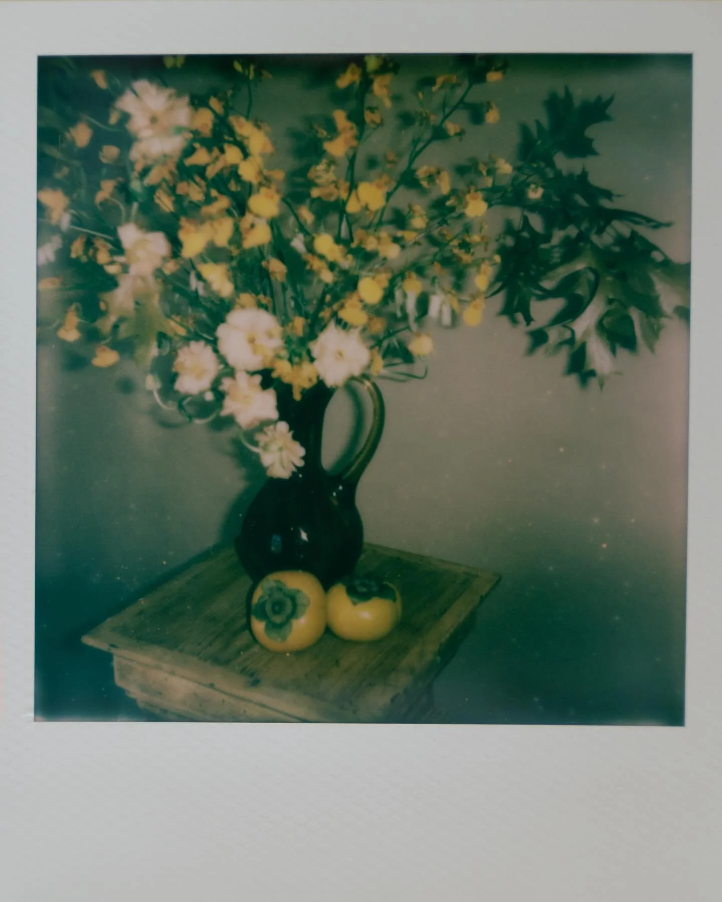 i will never not love a Polaroid
@carozzamedia