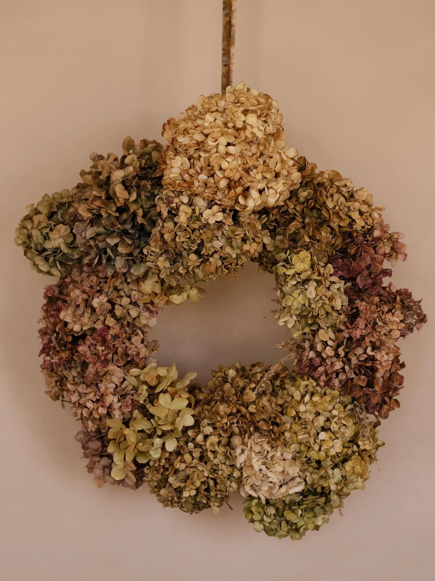 autumnal series part IV
@carozzamedia