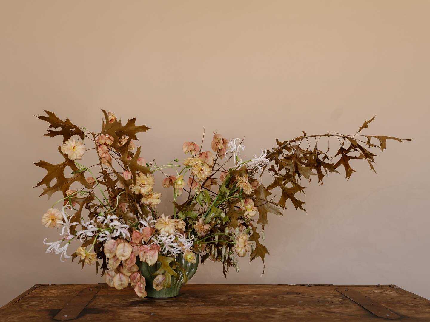 autumnal series part III
@carozzamedia