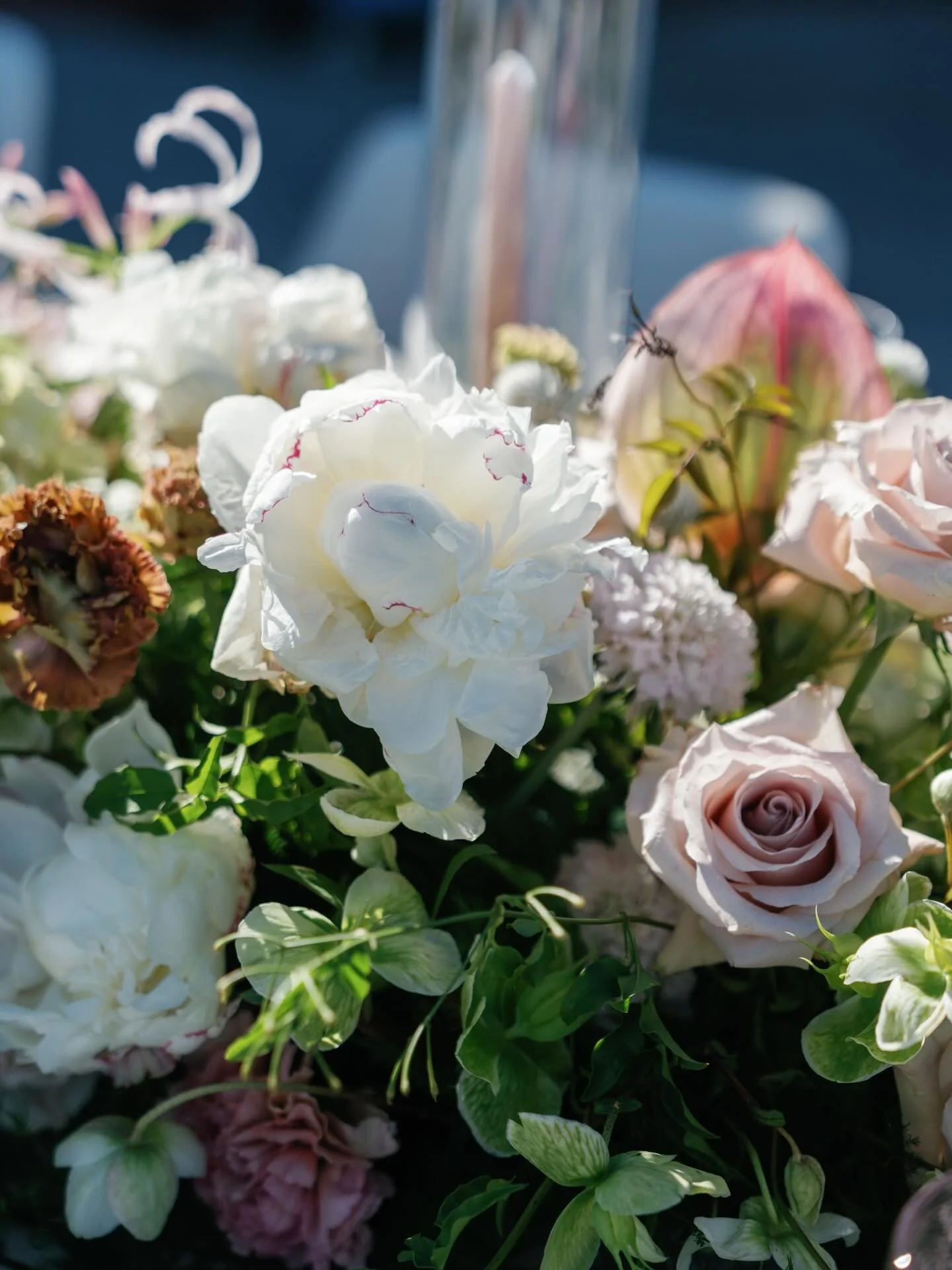 when the ingredients are good, the recipe never fails

planning: @jaaneventsco 
photography: @ani_portrait 
cocktails: @swiftandgraniteco 
table rentals: @palladium.vintage