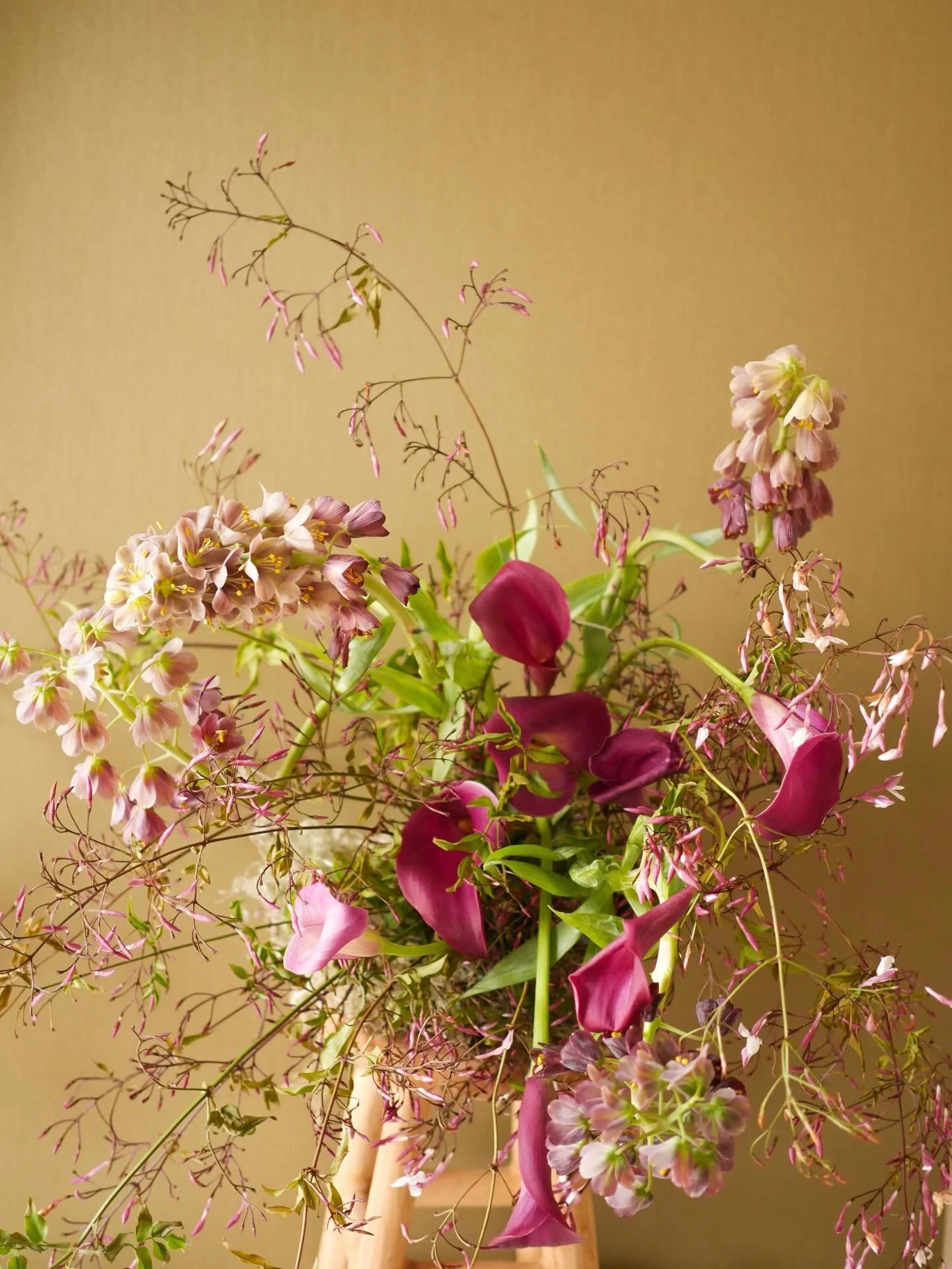 still on my Fritillaria kick