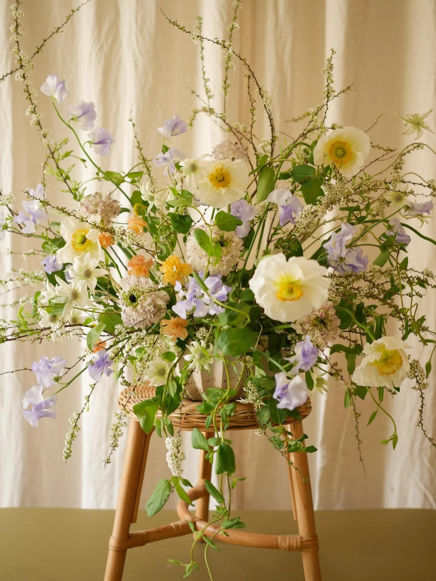 a love letter to spring 🤍🪻