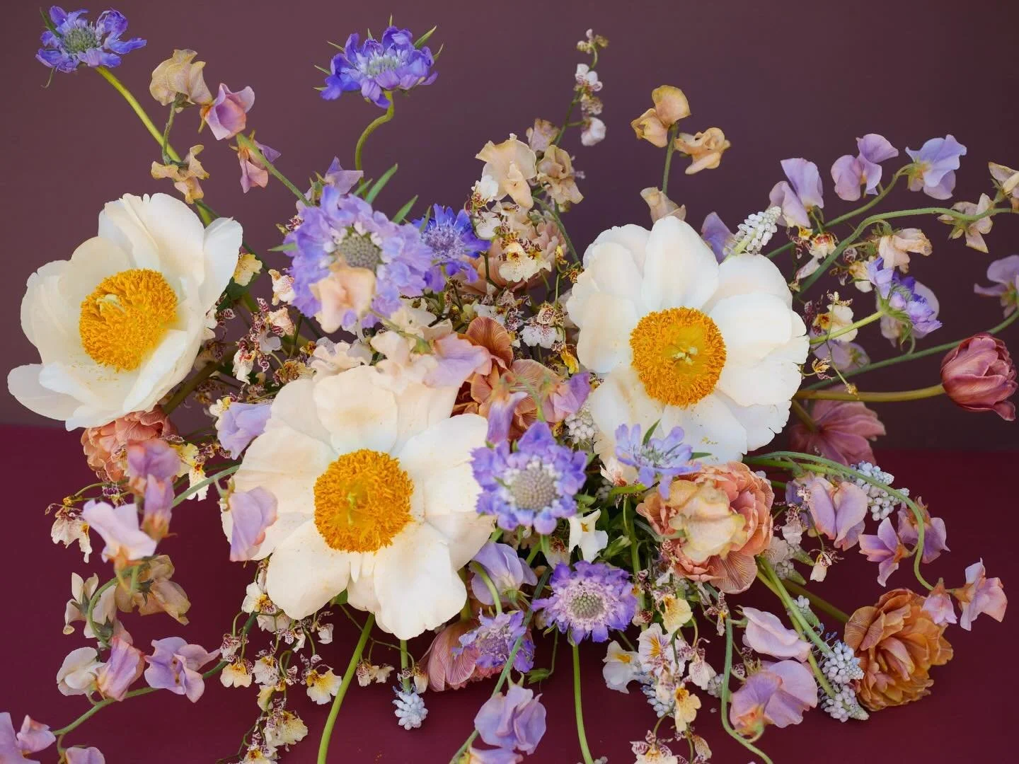 less about matching, more about mingling.

i just love how all these flowers are talking to one another through their individual colors. they whisper and play off the petals next to them - making for a really good story. 

the kind of palette that re