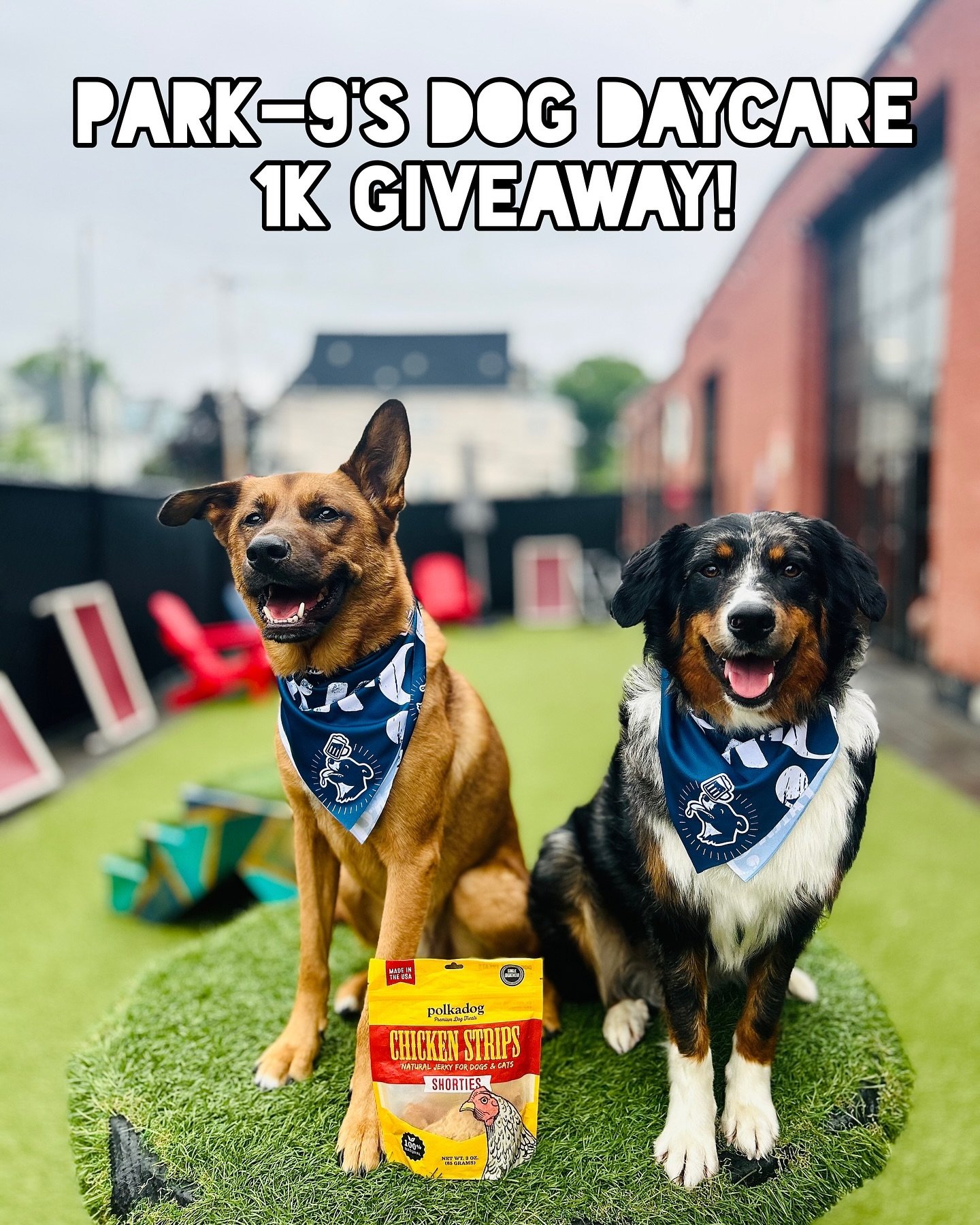 🎉 We hit 1K followers and it&rsquo;s time to celebrate YOU! 🎉 To show our appreciation, we&rsquo;re giving away a free day of daycare (or trial day), a Park-9 bandana plus one merch treat! 🥳 To enter:

1️⃣ Follow us
2️⃣ Like this post
3️⃣ Tag 2 fr