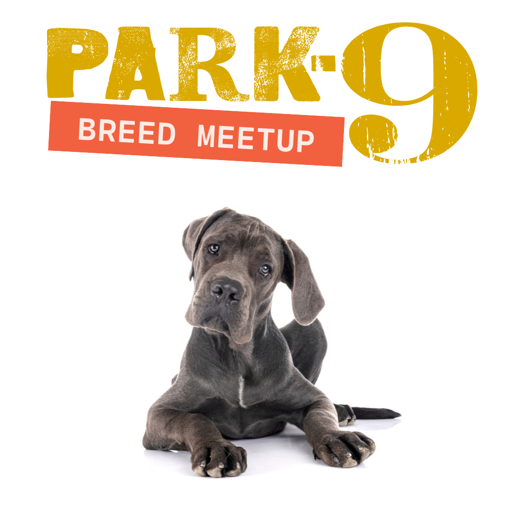Big Dog Meetup