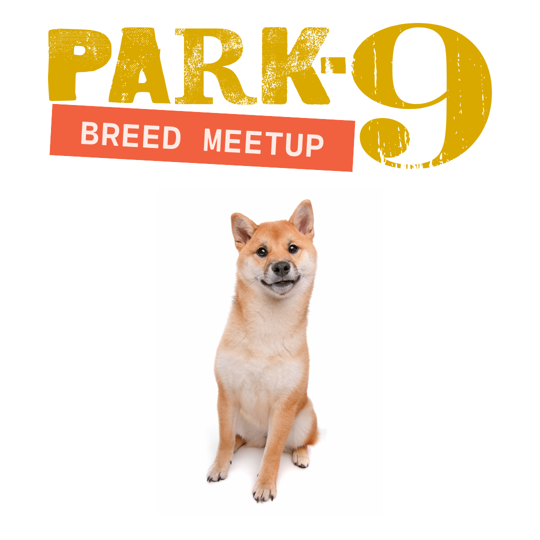 Shiba Inu Meetup