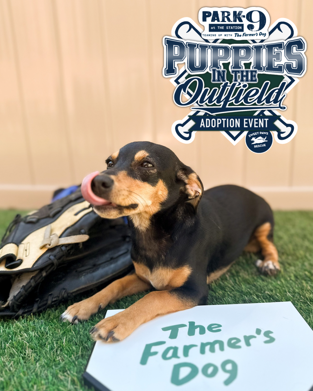 “PUPPIES IN THE OUTFIELD” ADOPTION EVENT IN SUPPORT OF SWEET PAWS RESCUE