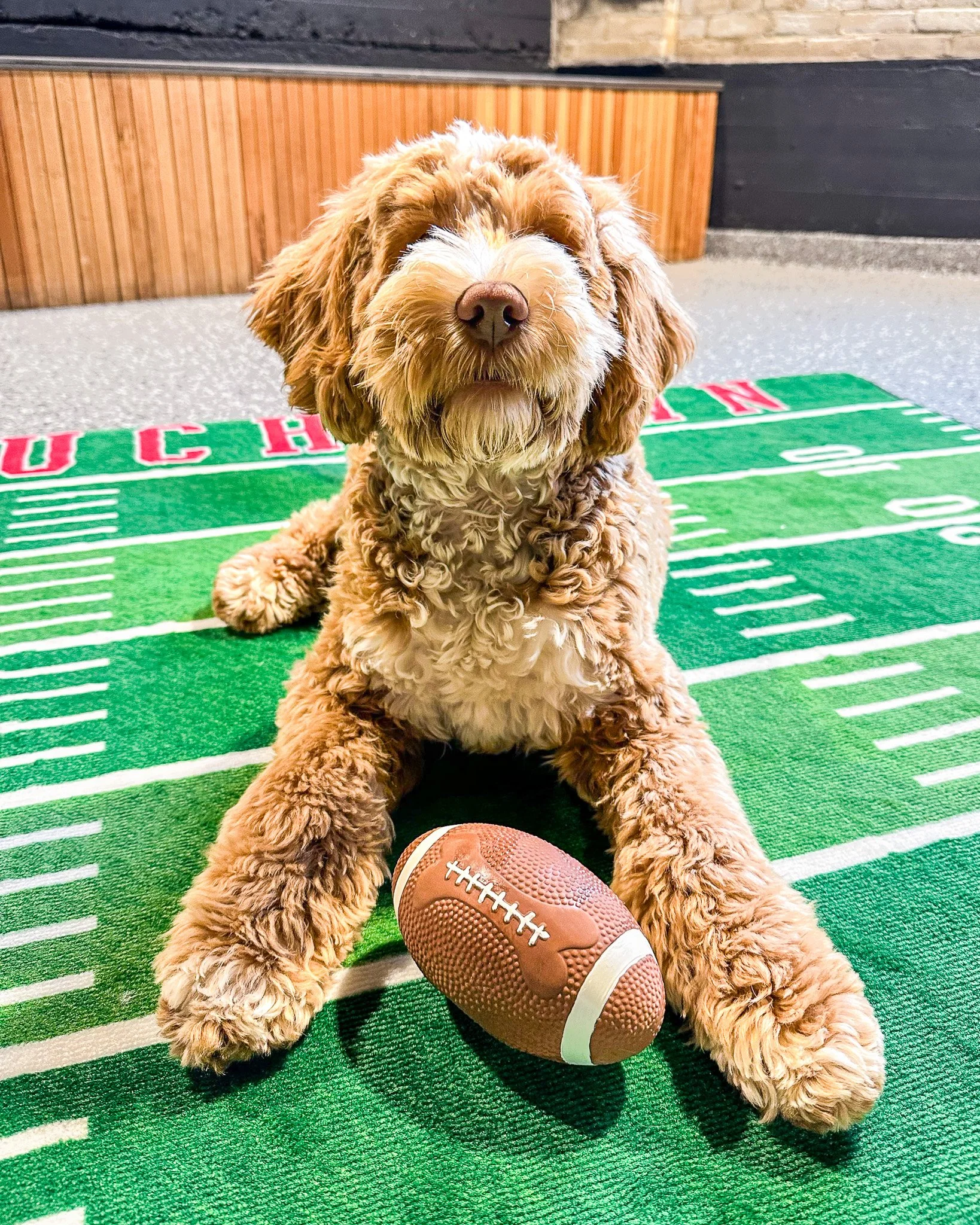 Football SUNDAY at Park-9