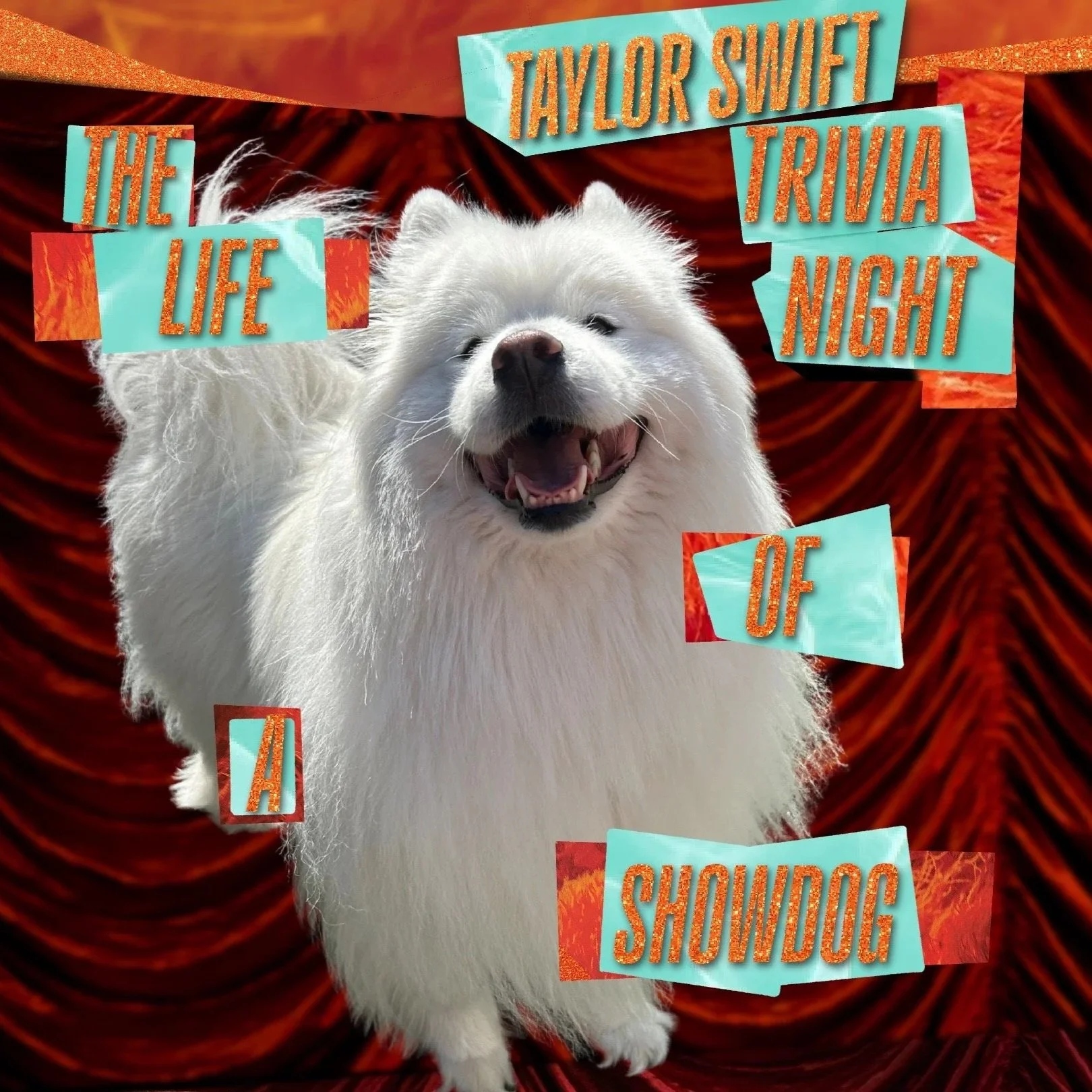 Taylor Swift Themed Trivia Everett