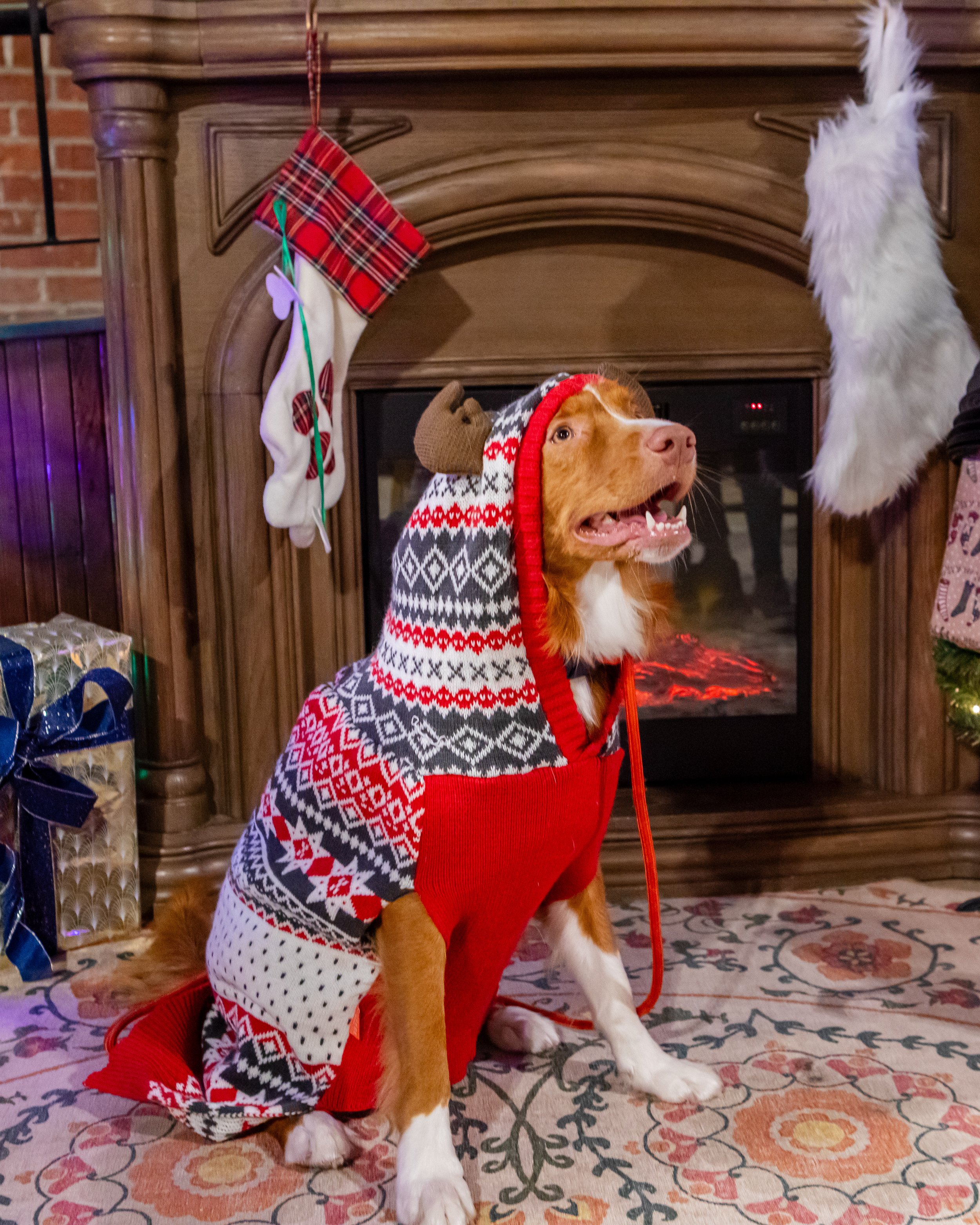 Ugly Sweater Christmas Party