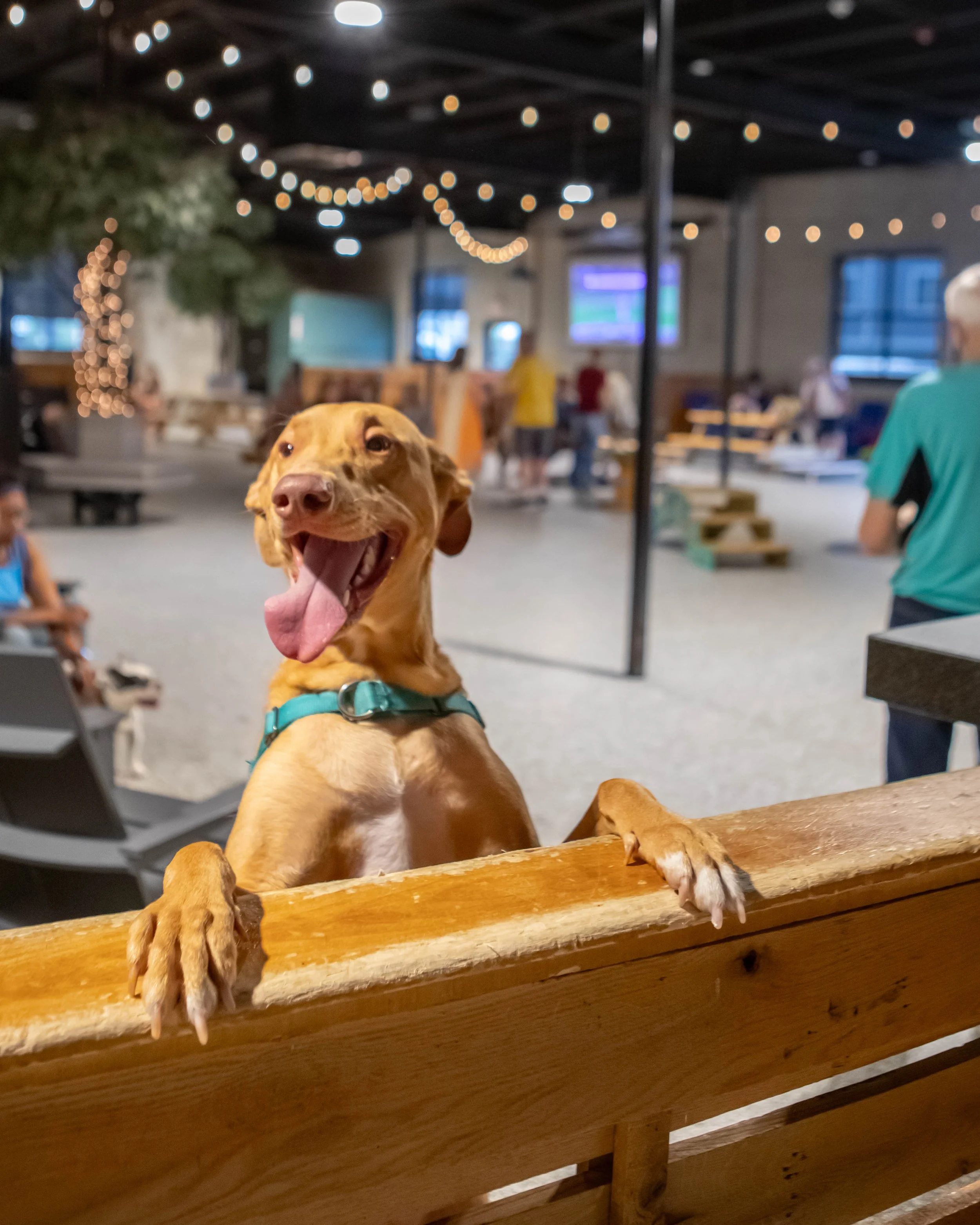 Extended Hours - President’s Day